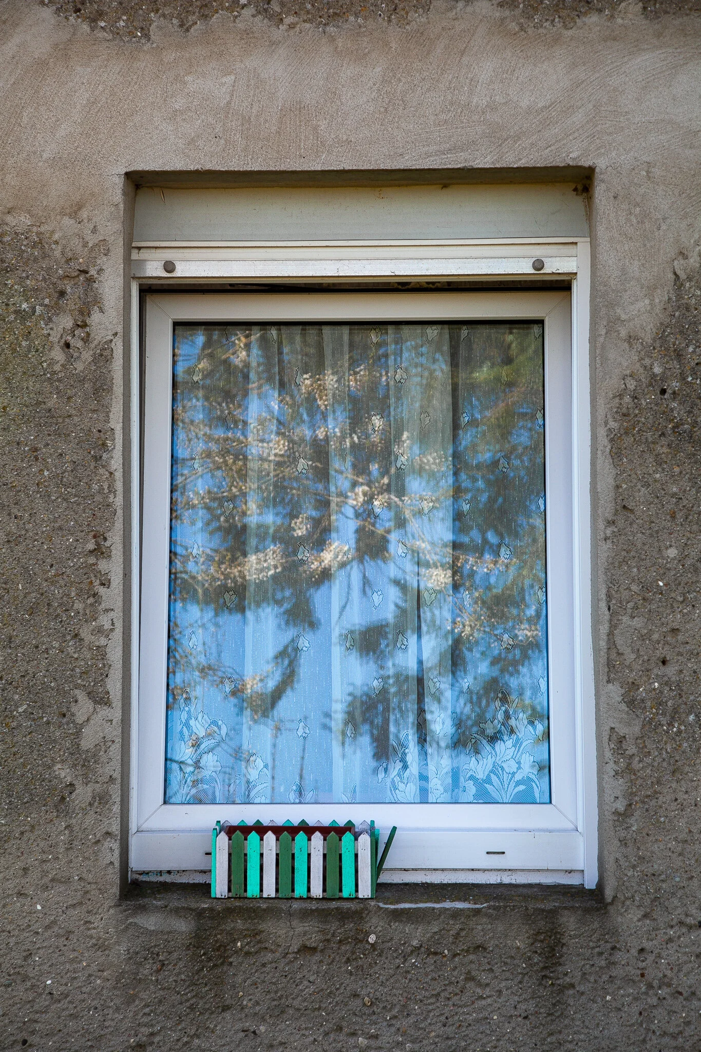 IMG_5070.jpg. DORF.jpg