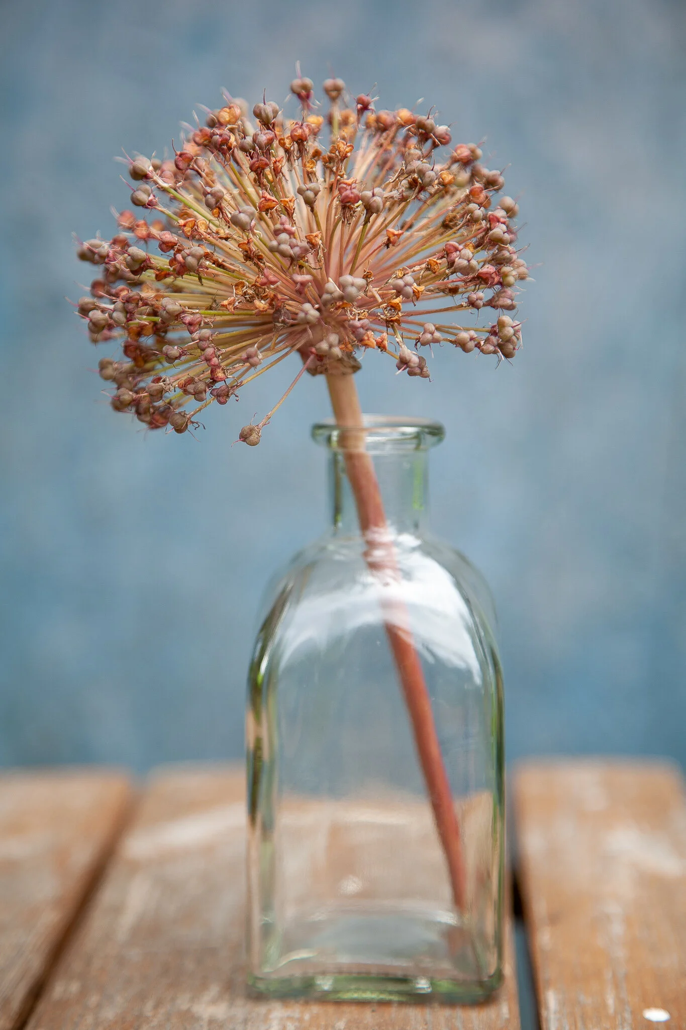 _MG_7114.jpg Flowers.jpg