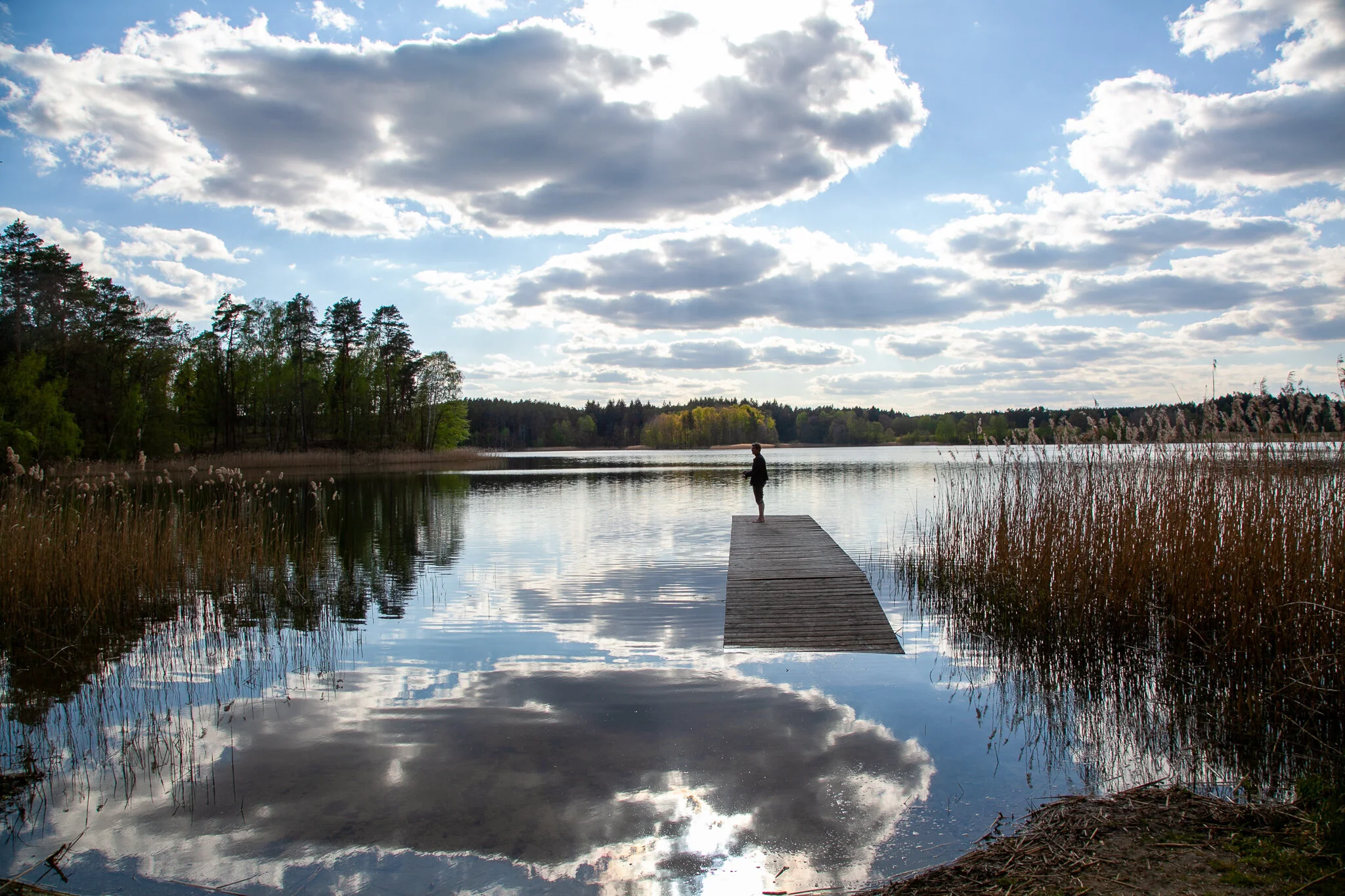 IMG_5857.jpg. LANDSCAPE.jpg