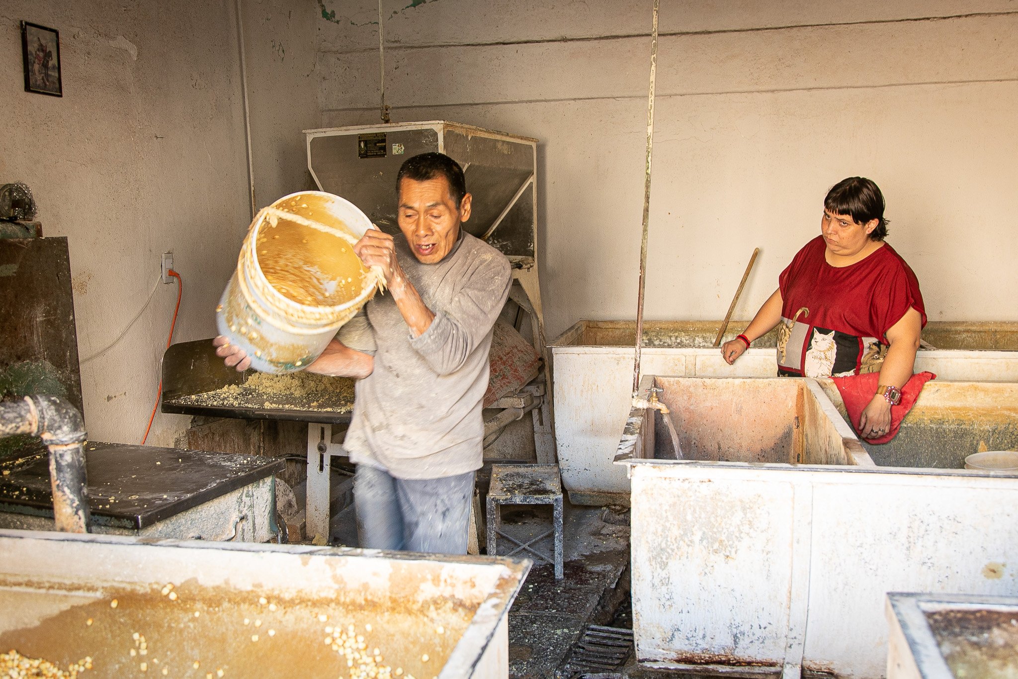 _P7A0324.jpg Maismehl.jpg