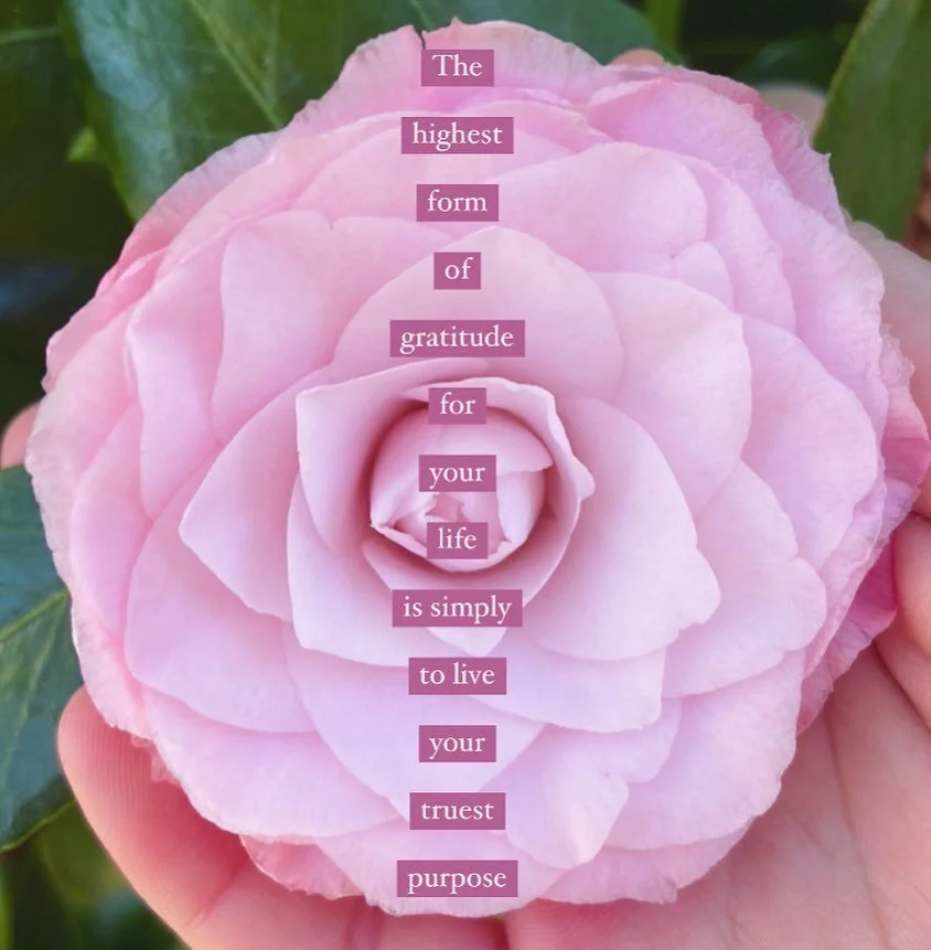 ✨💎✨

&ldquo;My session with Kadhi was profound to say the least. She allowed me the space to share deeply and vulnerably what was happening in my life, digested everything I said, and offered me some of the most poignant advice I&rsquo;ve ever recei