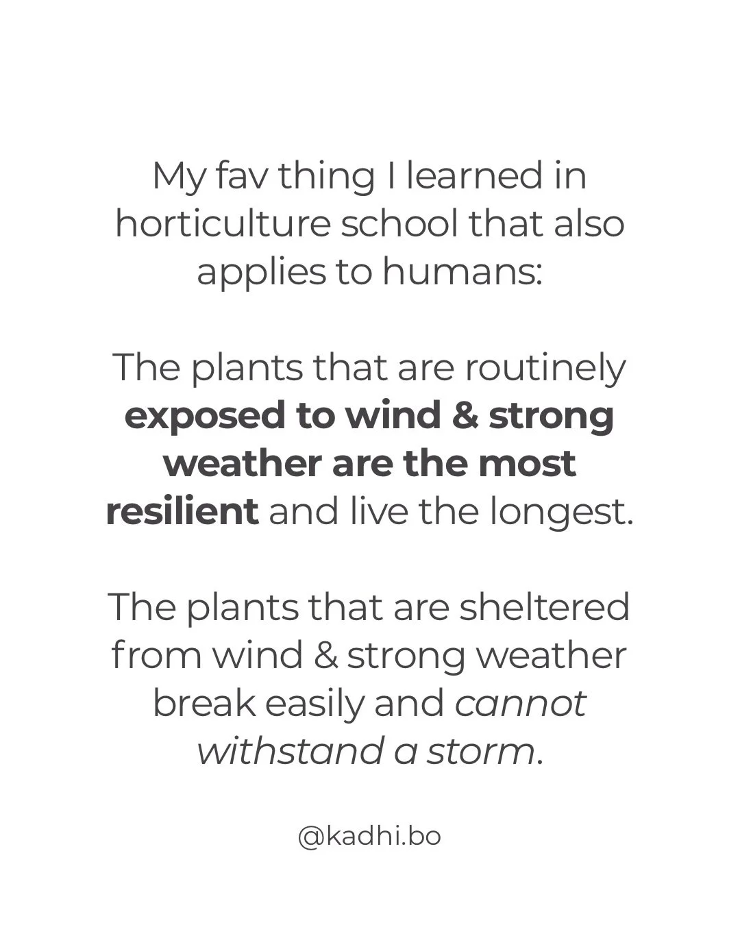 Welcome the storm. Embrace it. Maybe even thank it for delivering an opportunity to grow your roots even deeper, unfurl your bloom even wider, and be less bothered by the changing winds of the day. 

It&rsquo;s all for you.
All for your unfoldment. 

