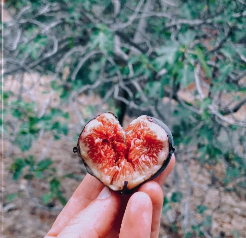 a juicy fig opened up in a heart shape held by Kadhi Bo next to client reviews