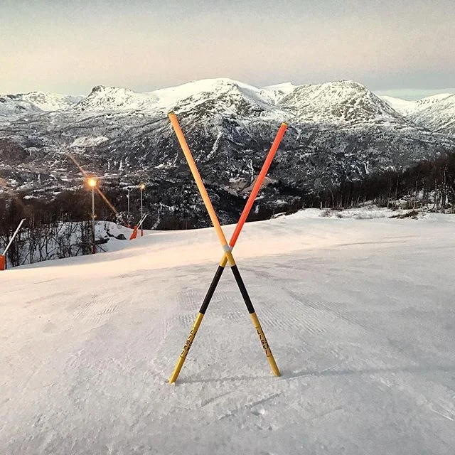 I think this means GOGOGO ⛷