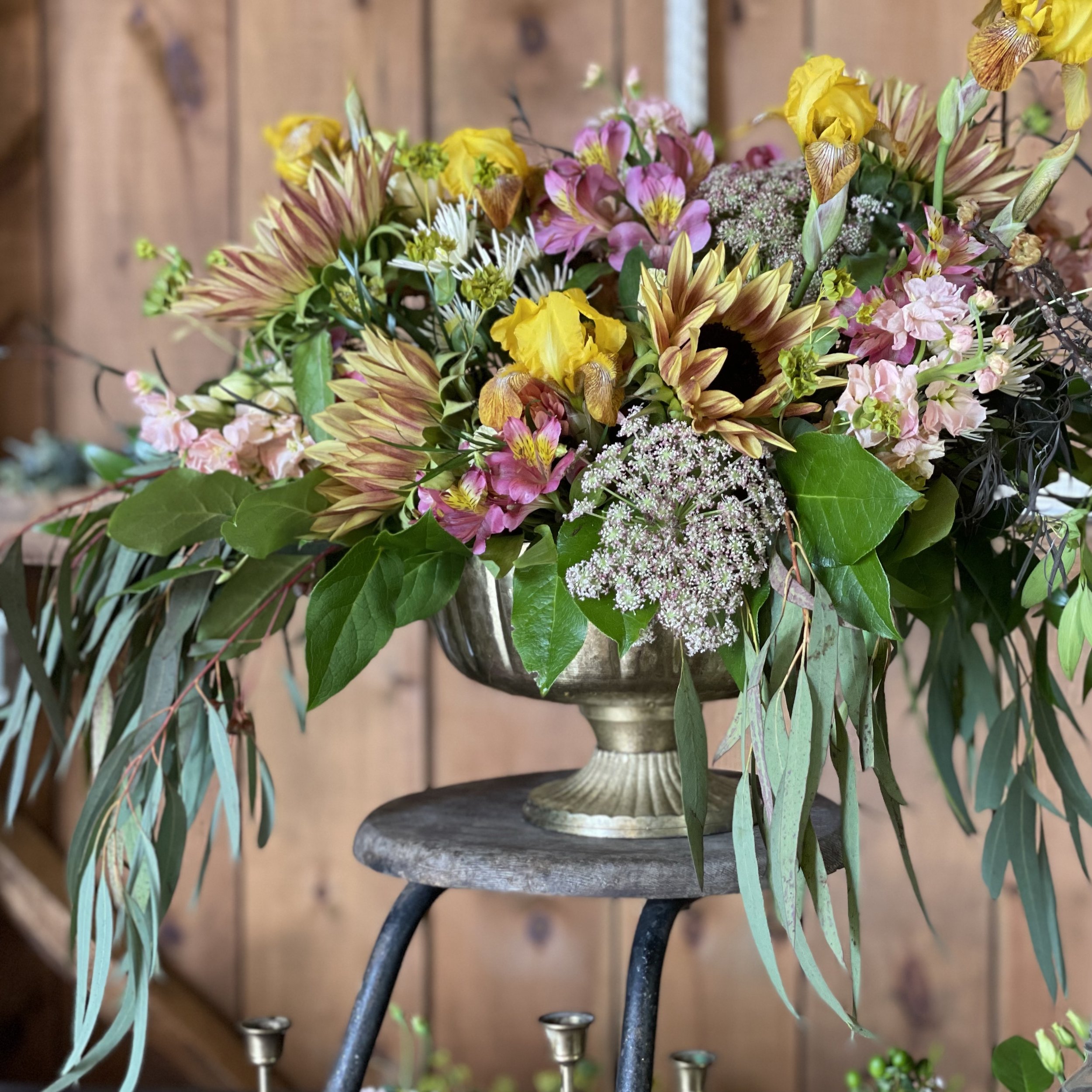 The Plant Supply - Sphagnum Moss – LeFleur Floral Design + Events