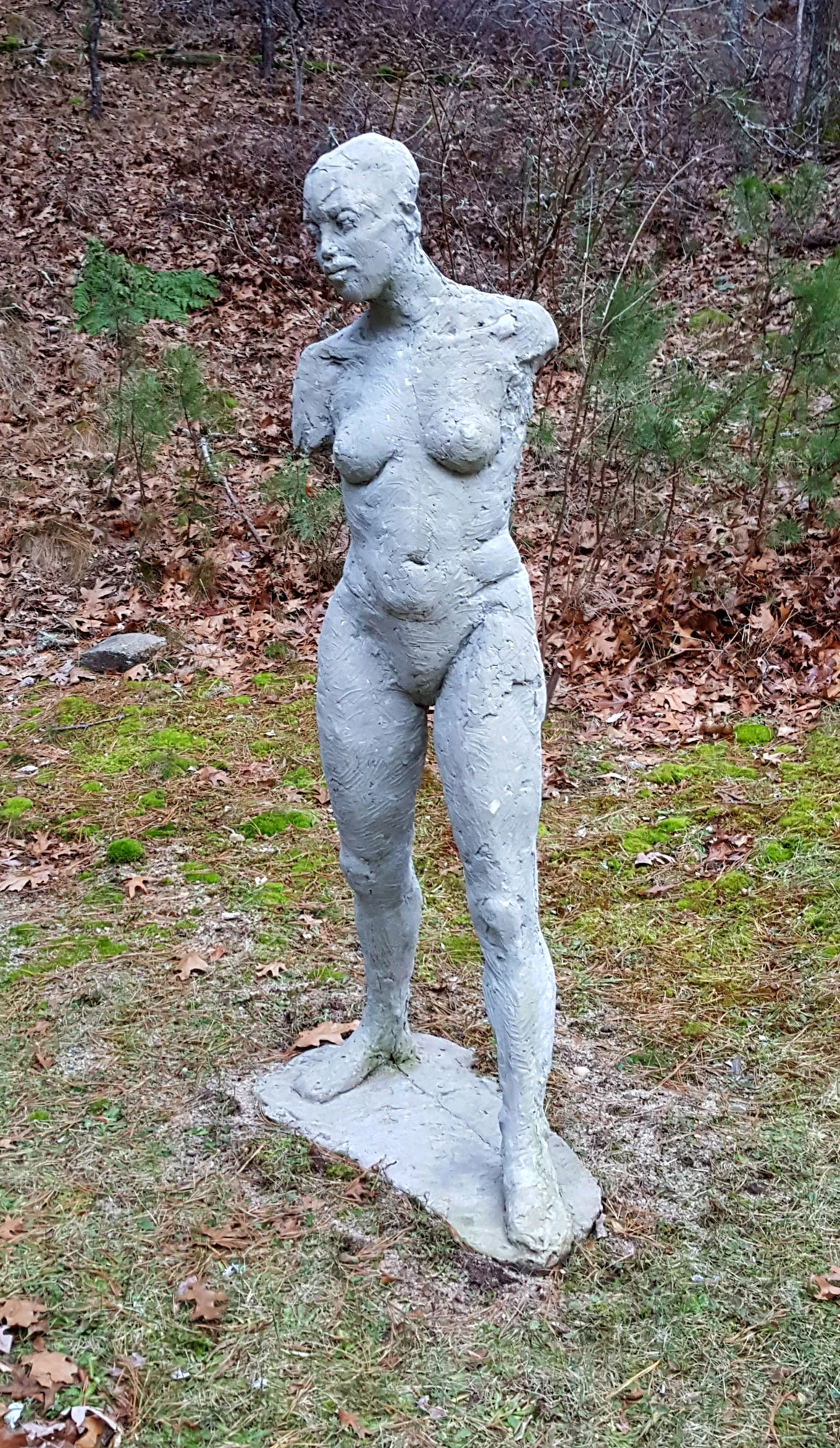 20181231_155955.jpg
