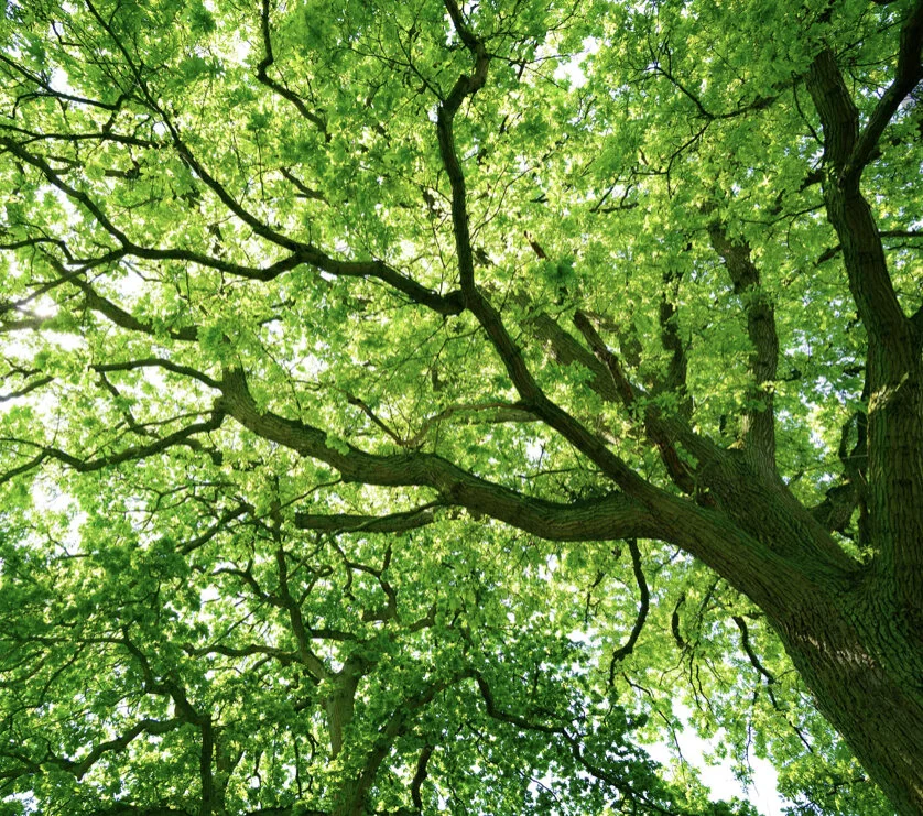 Kundalini Yoga &amp; Sound Bath Saturdays 9-10:15