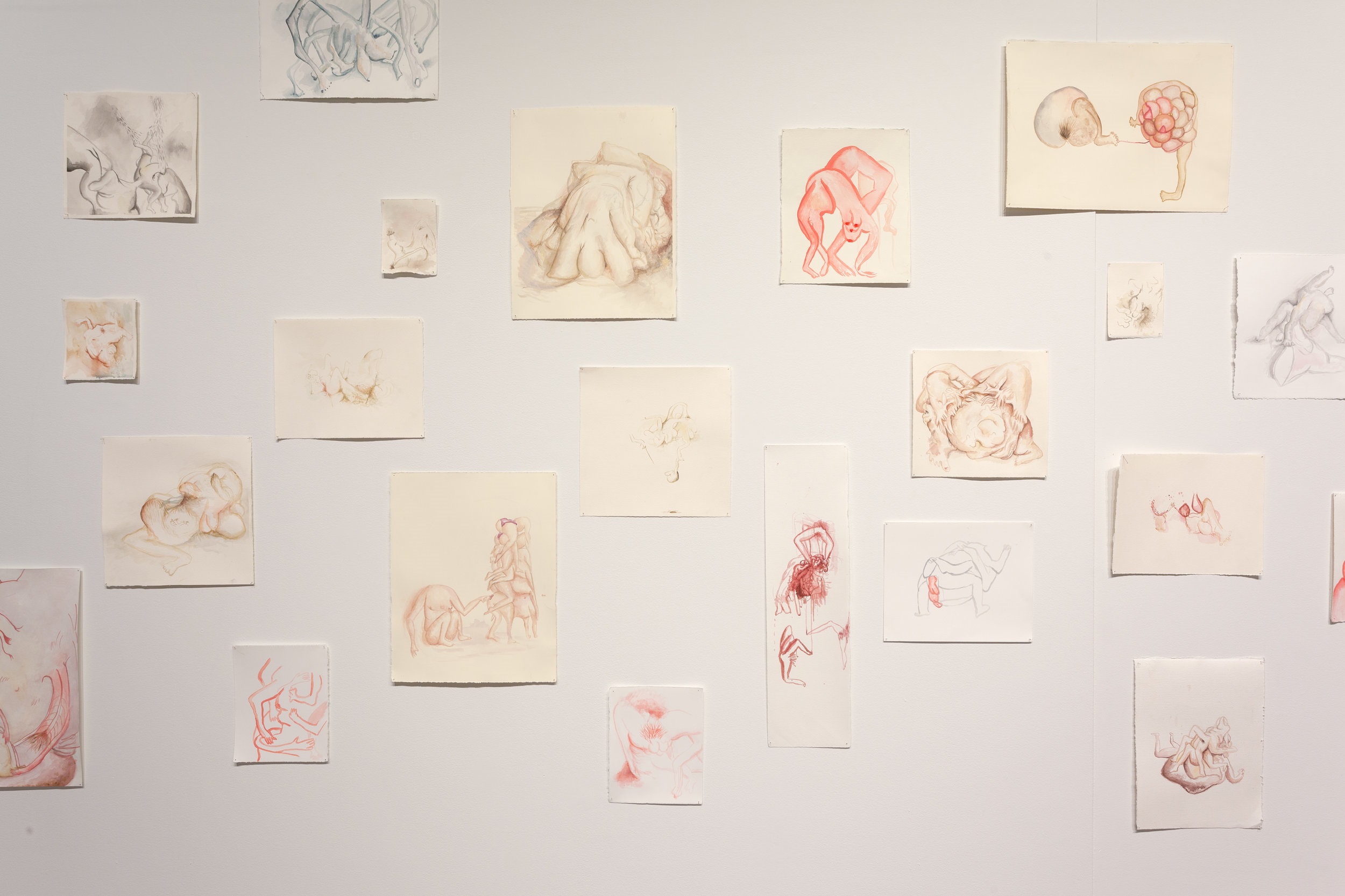 Installation of Drawing Studies