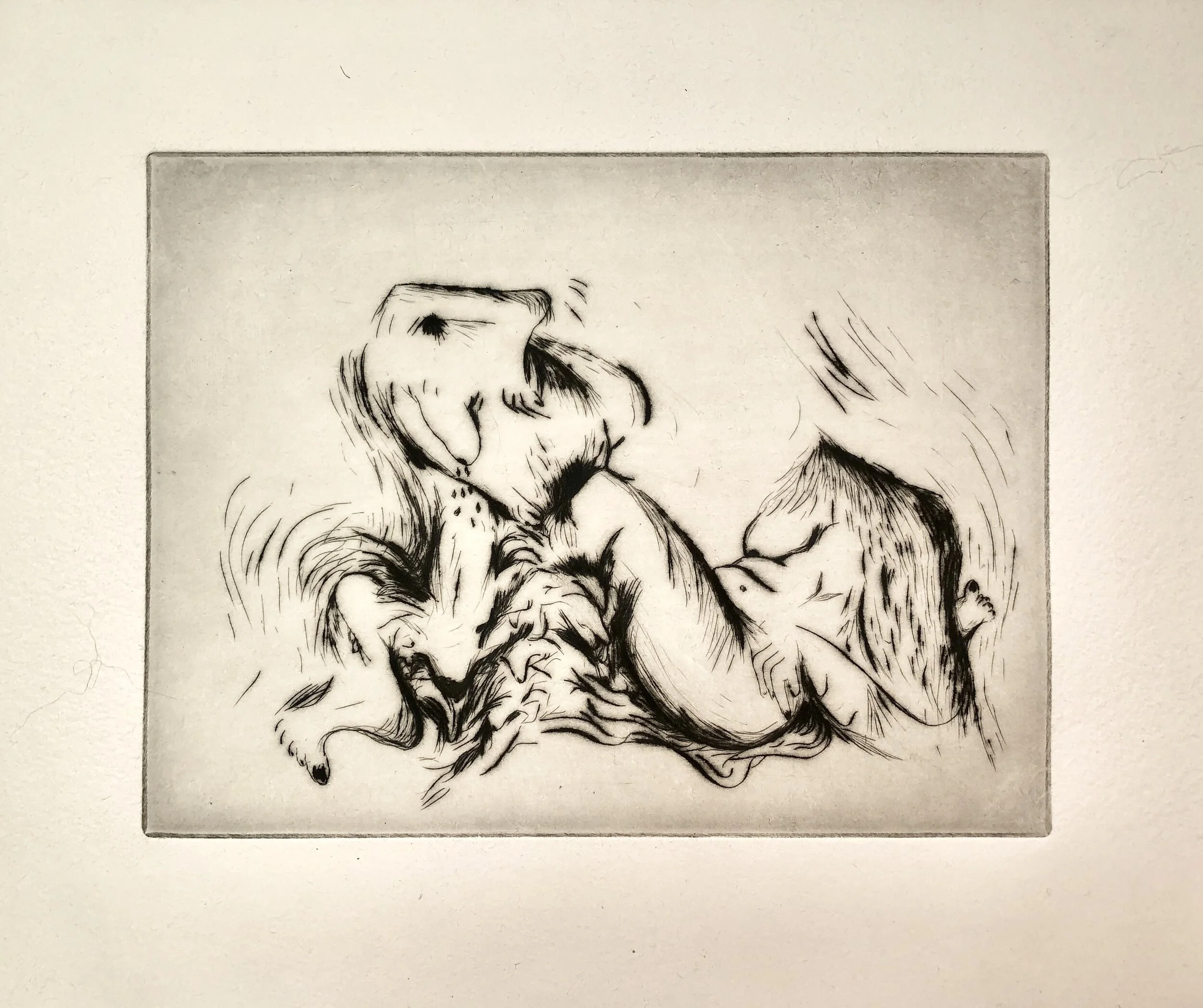 Squish and Break 2019