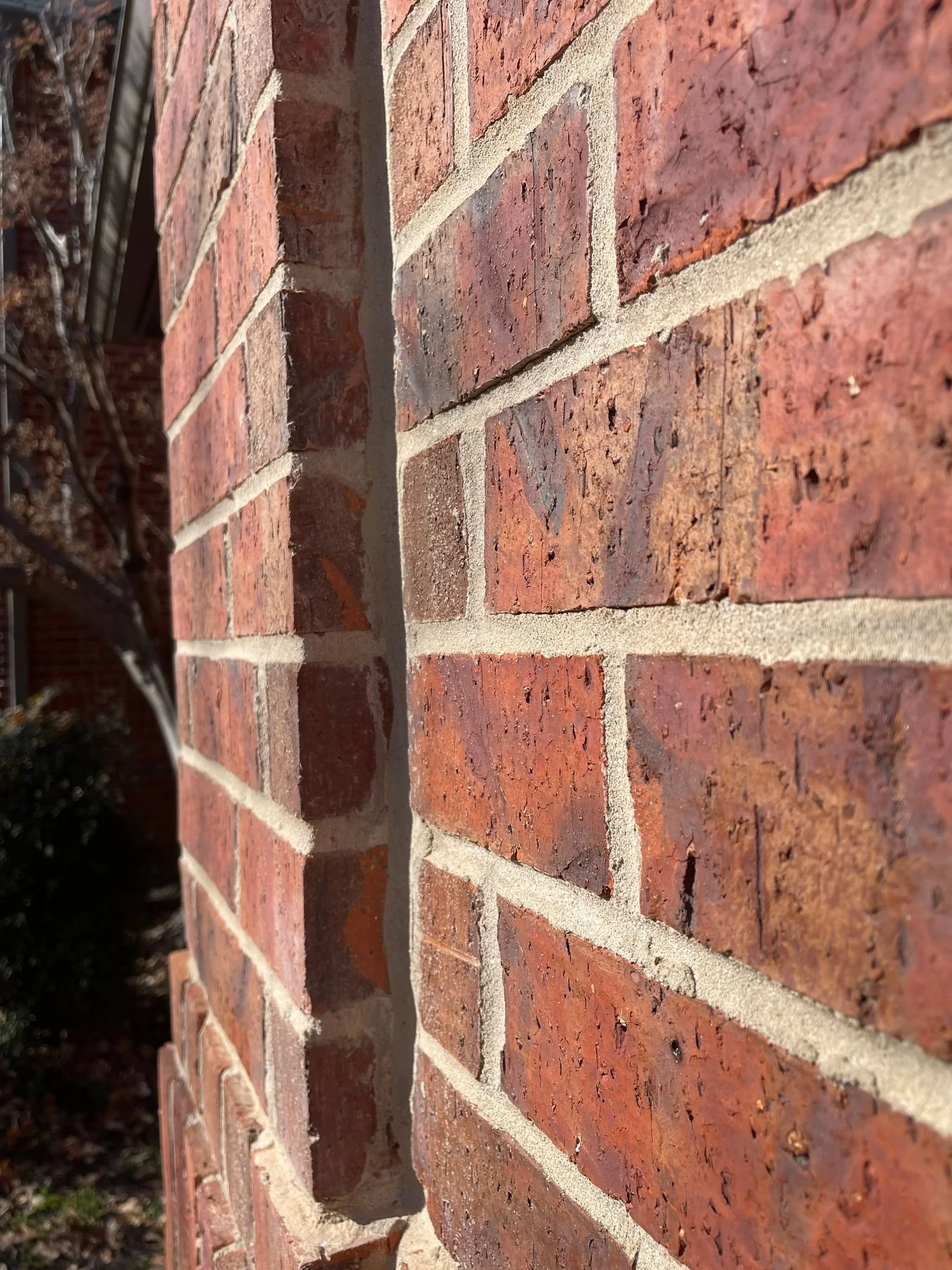 IMG_0469.jpeg