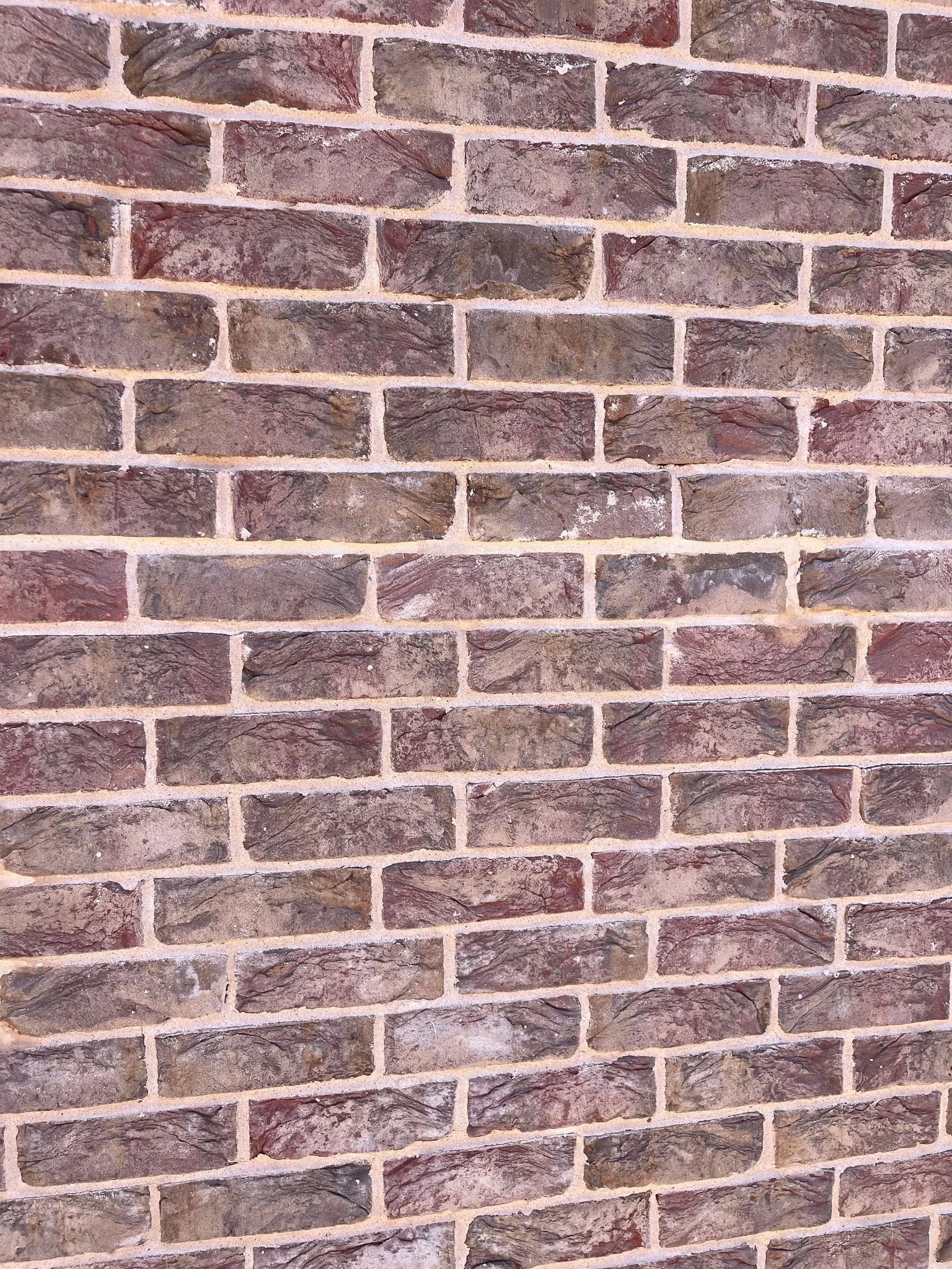 IMG_0660.jpeg