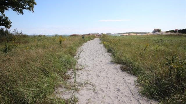 photo.jpg