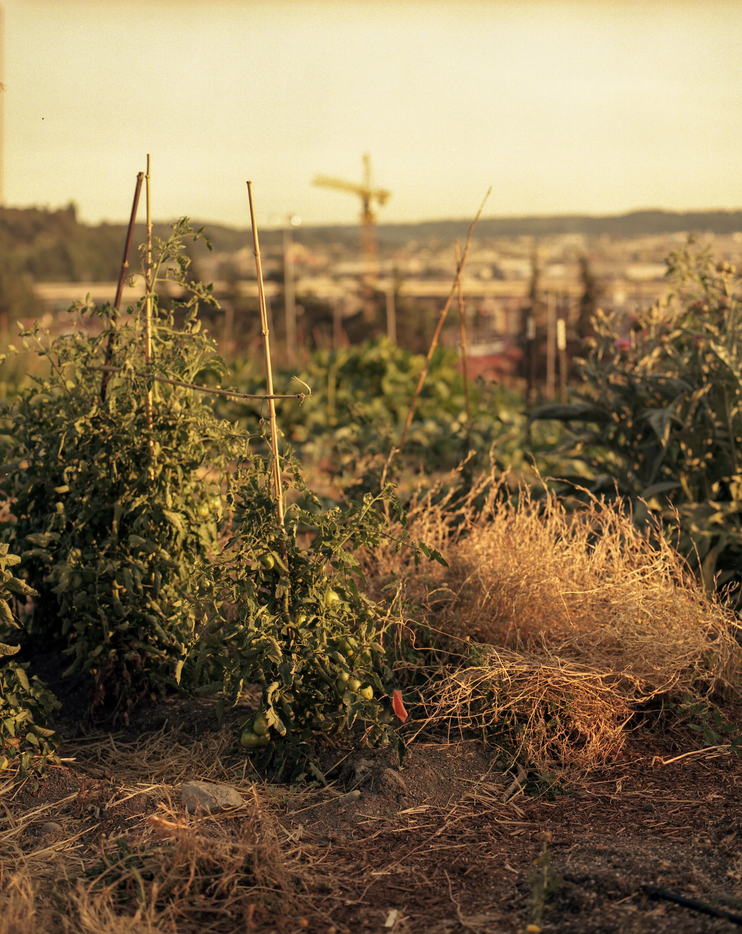 img20210803_09455865 copy.jpg