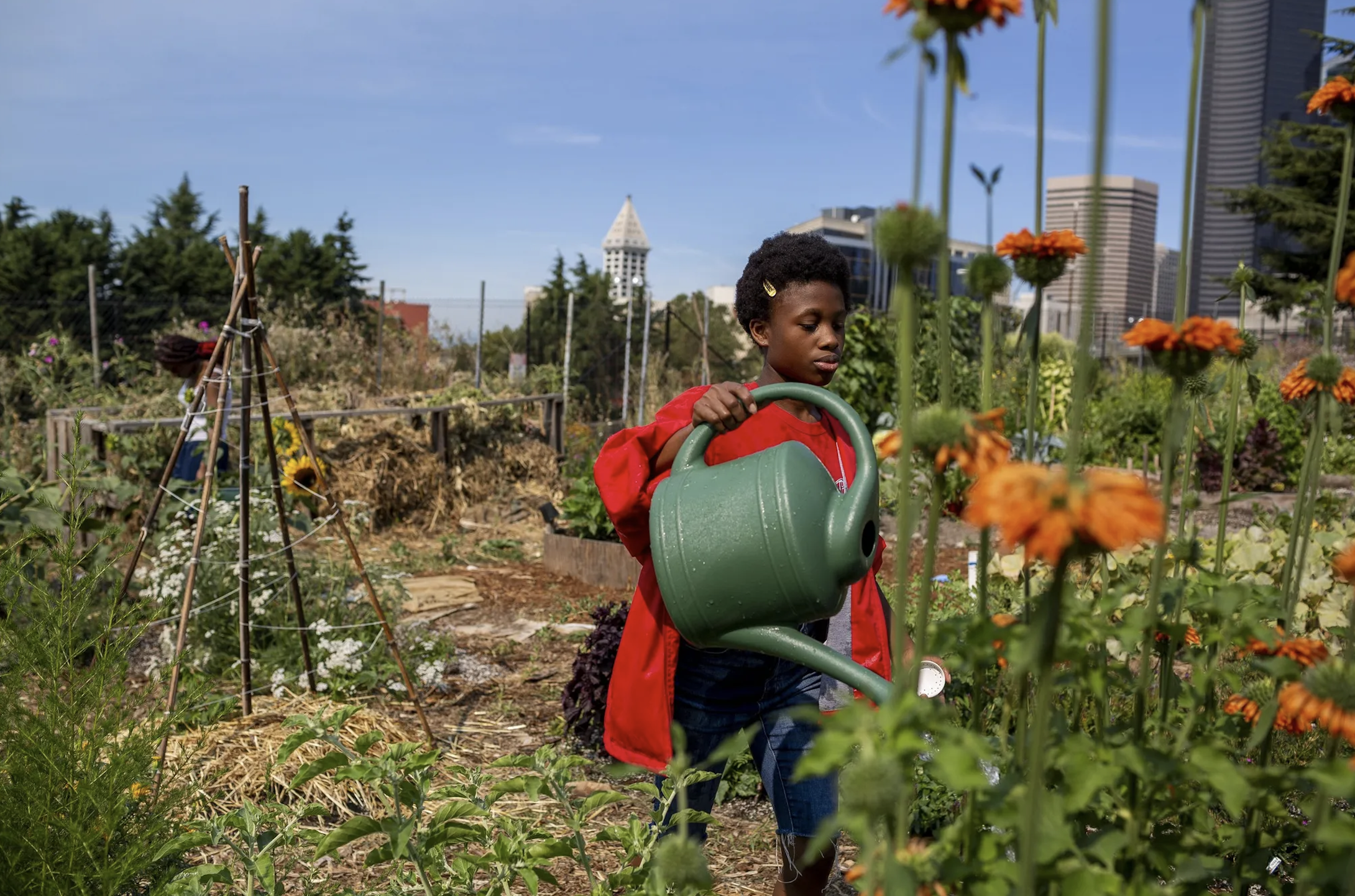 Black Farmers Collective turns to the land to build sustainable, equitable futures for communities of color