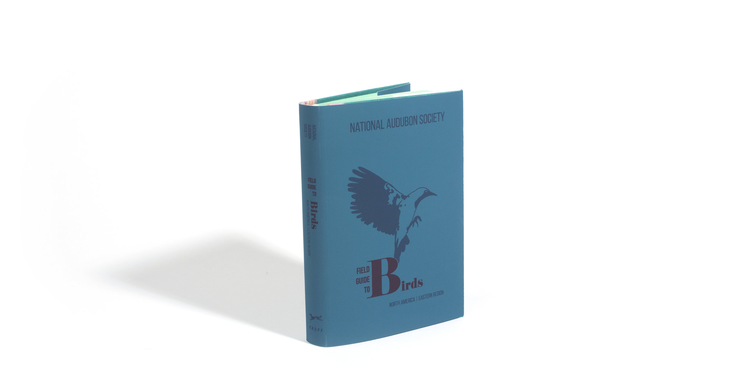 Blue Book22.jpg