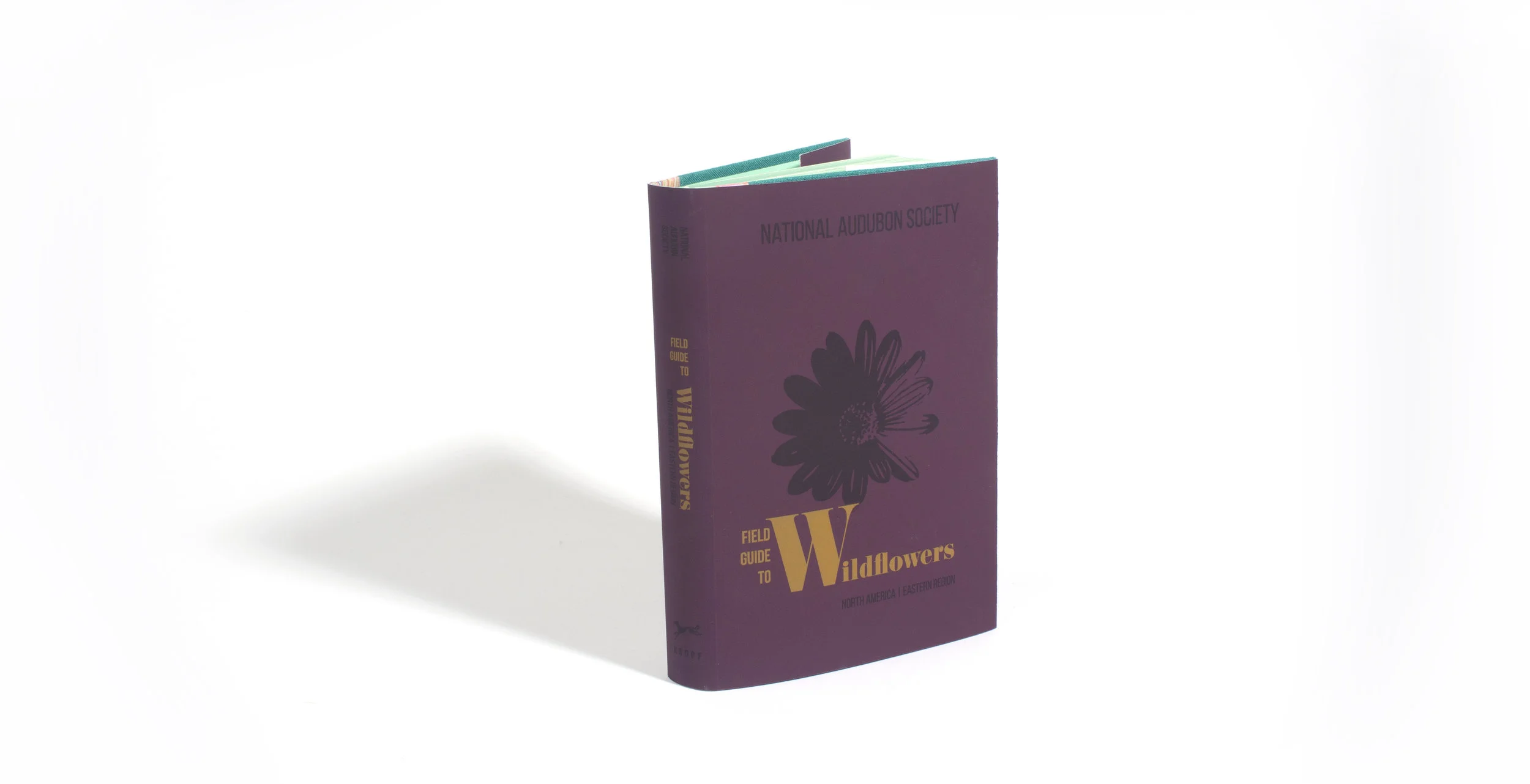 Purplebook22.jpg