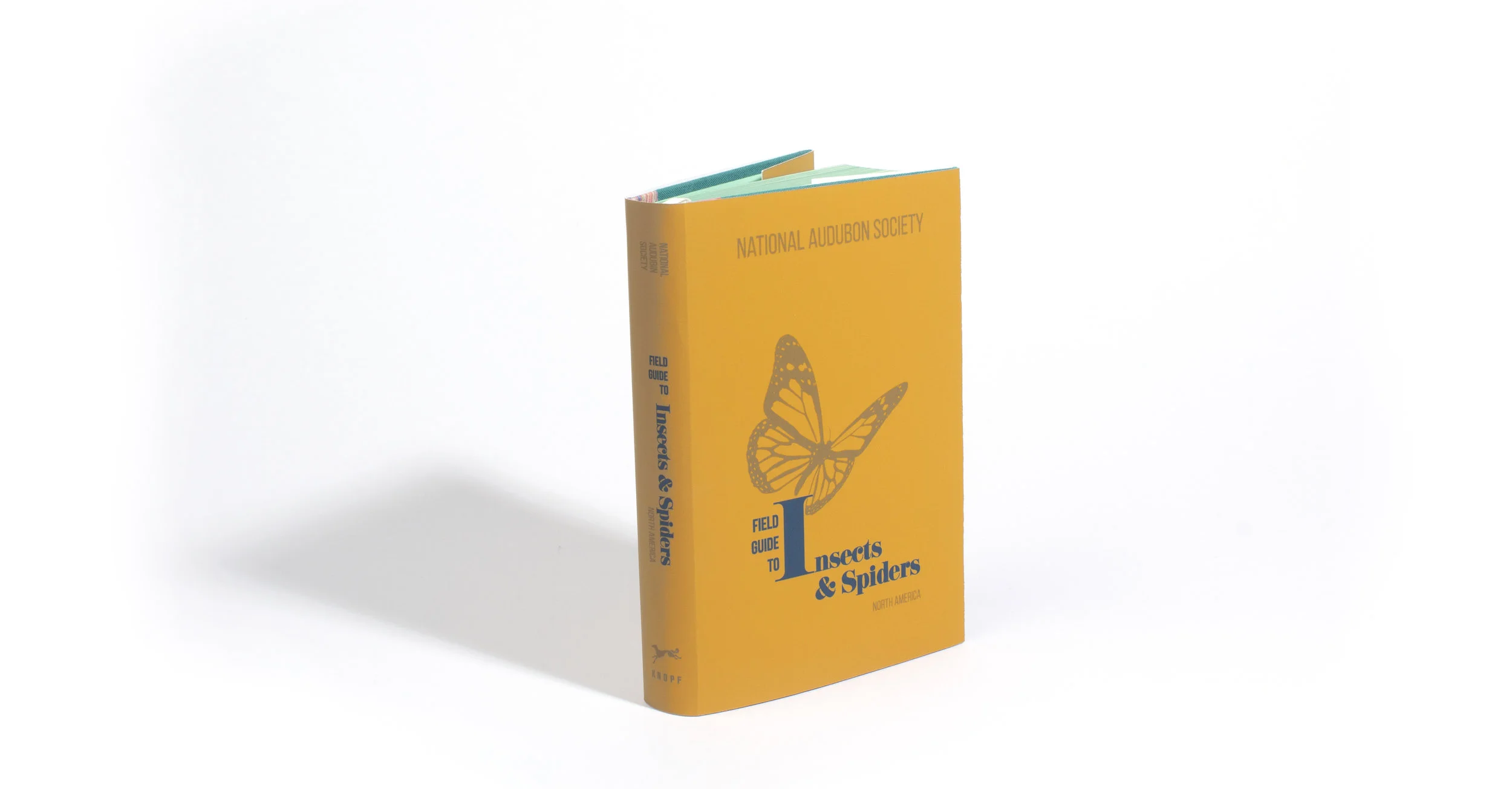 Yellowbook22.jpg