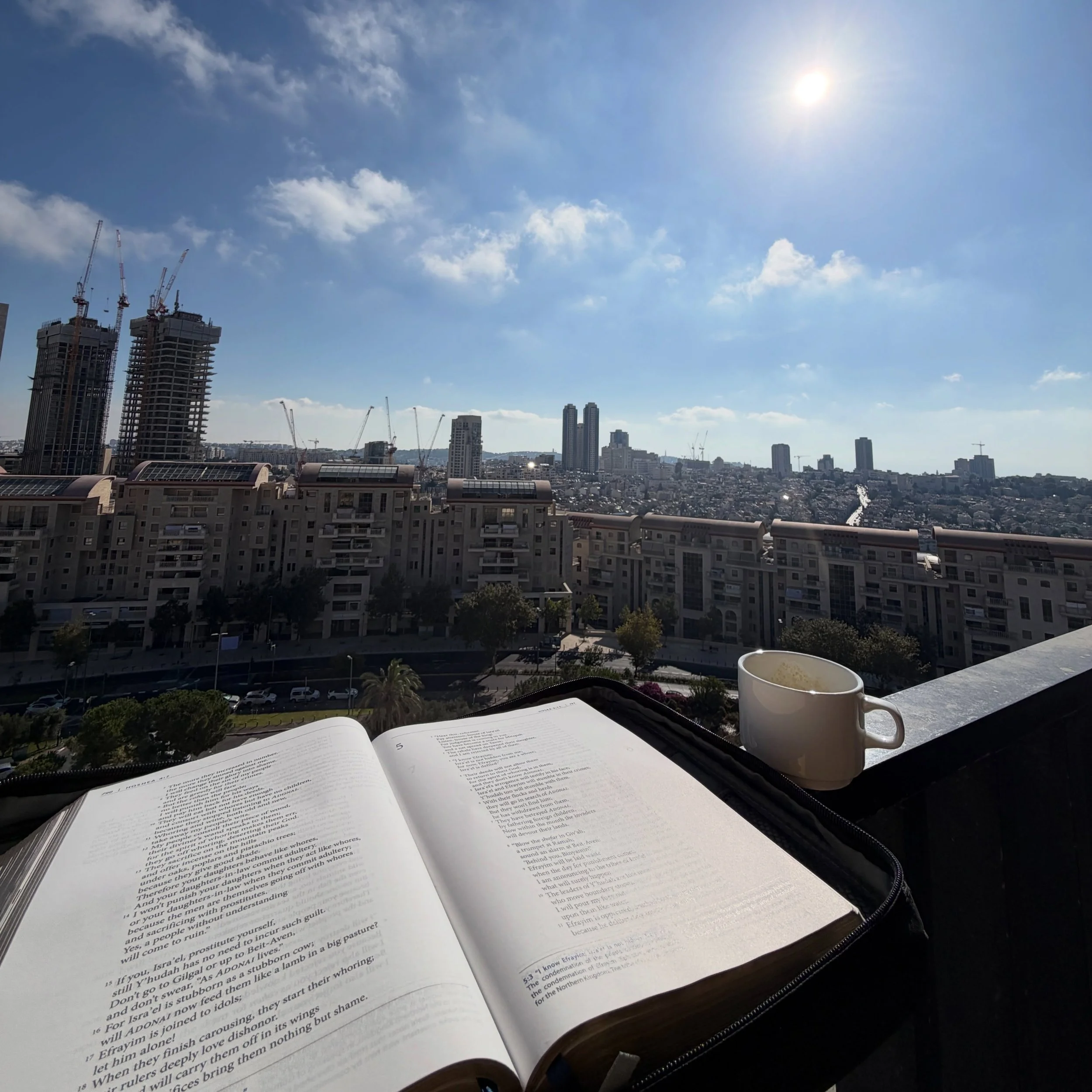 &ldquo;Your Word throws doubt far away.&rdquo;

My morning view of Jerusalem. 
(Look to the East!) 

Comment with a short verse that spoke to you today. (Just the Word!) To encourage others. 😁