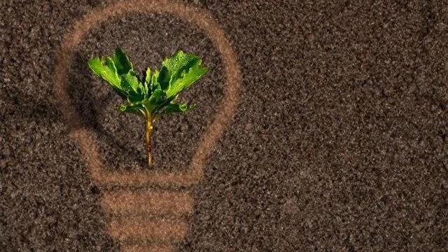s_Green_plant_sprout_growing_within_a_lightbulb_silhouette_on_soil.jpg