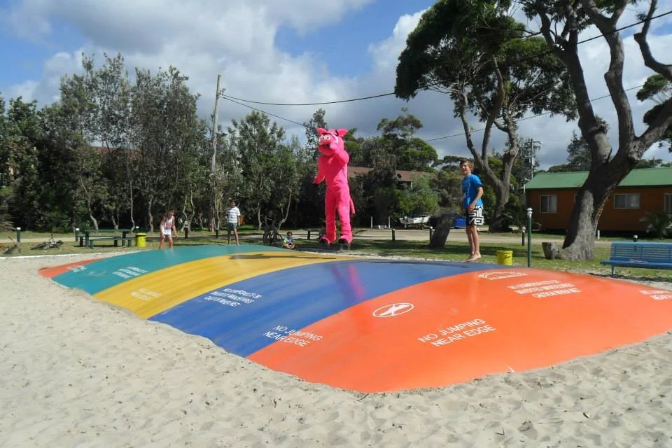 Jumping Pillow Cost 2025