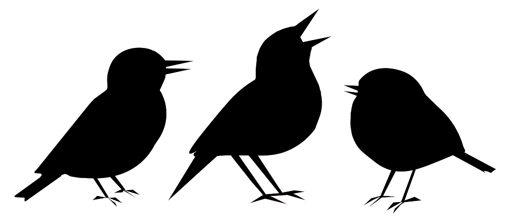 Three line drawing illustrations of different bird species.