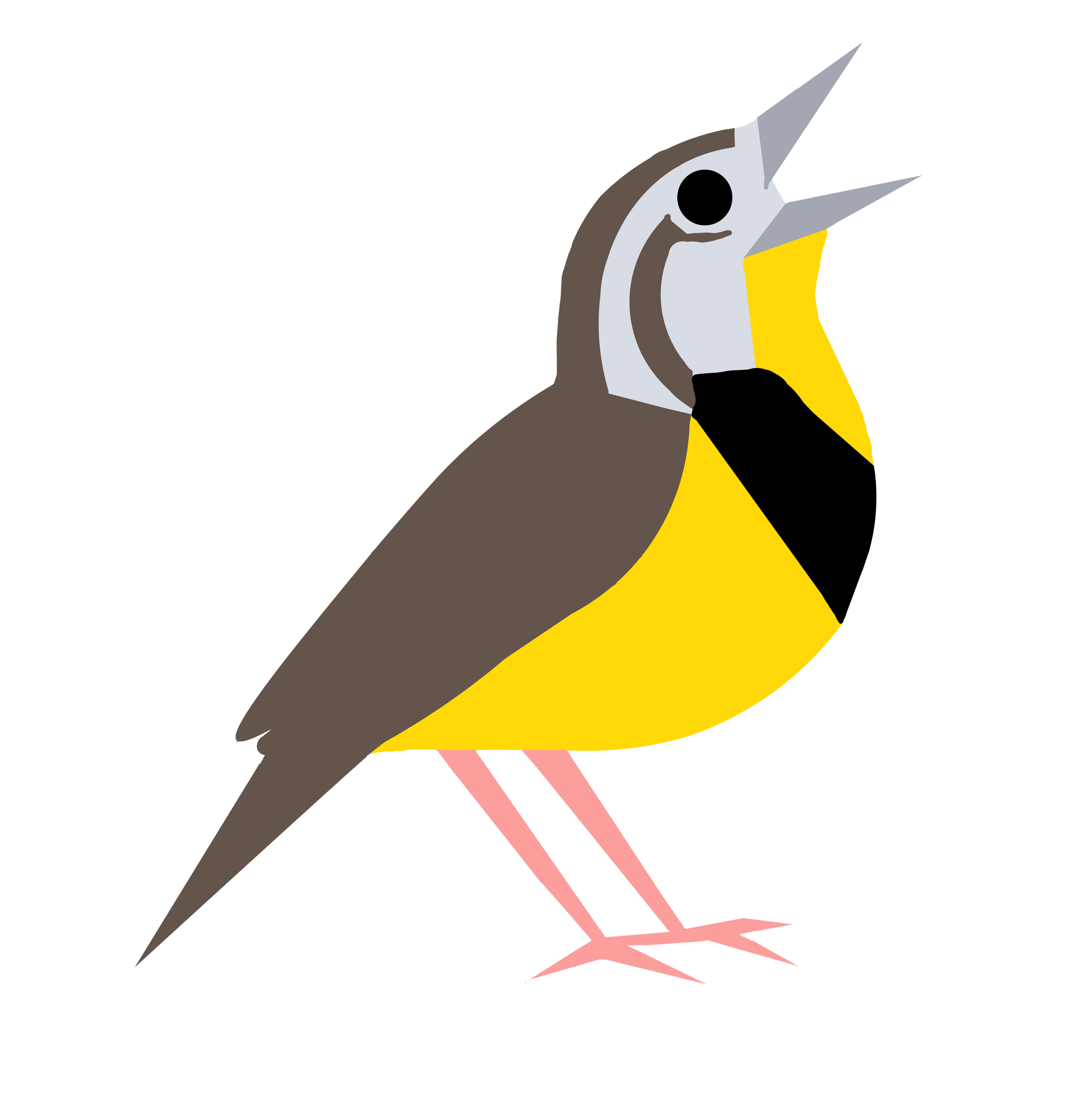Digital illustration of a bird with a yellow chest, gray wings, black eye, white face marking, and a long pointed beak, perched on a white surface next to a gray rectangular object.