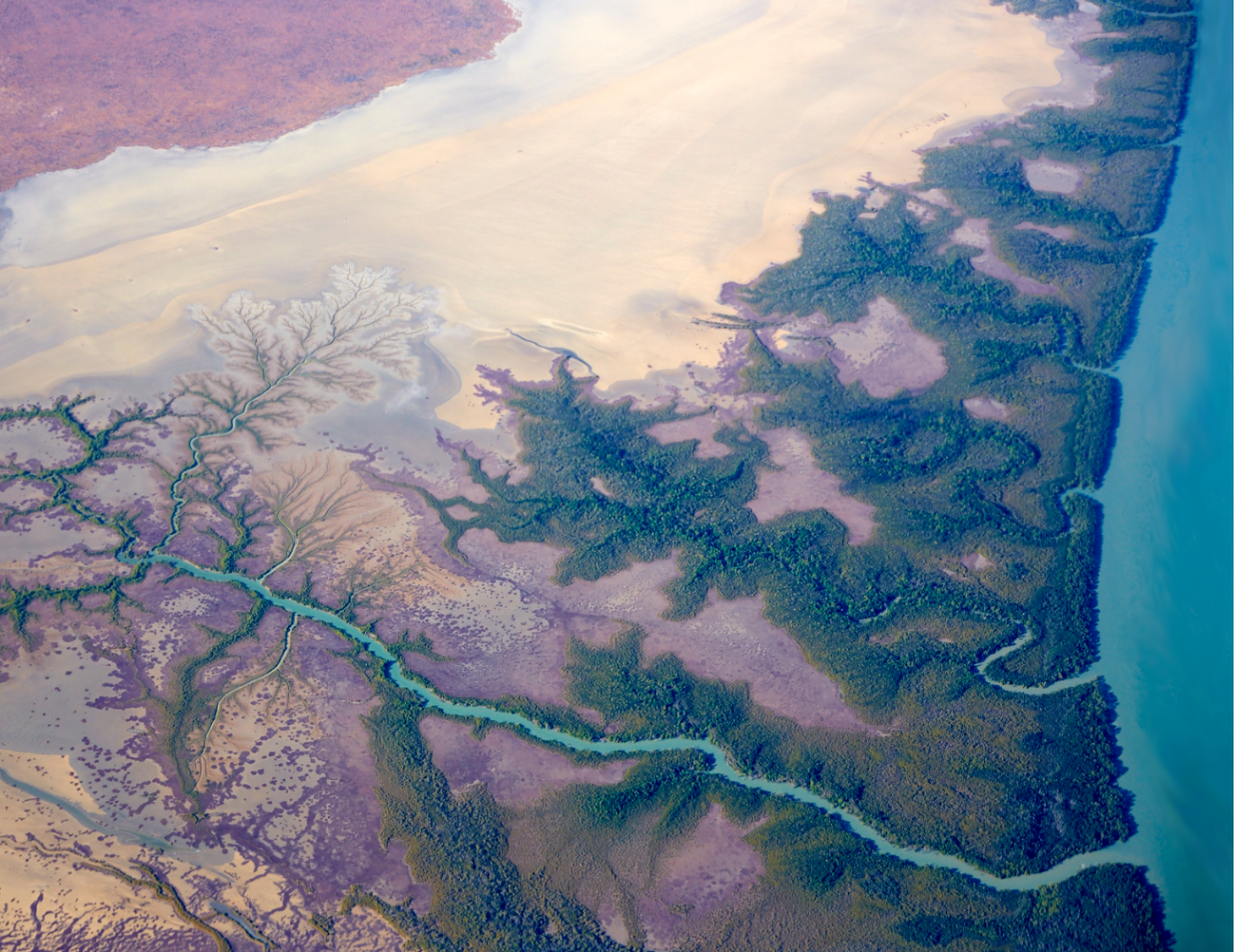 Tea Towel Alligator Rivers 5298 Swing Tag - Final.png