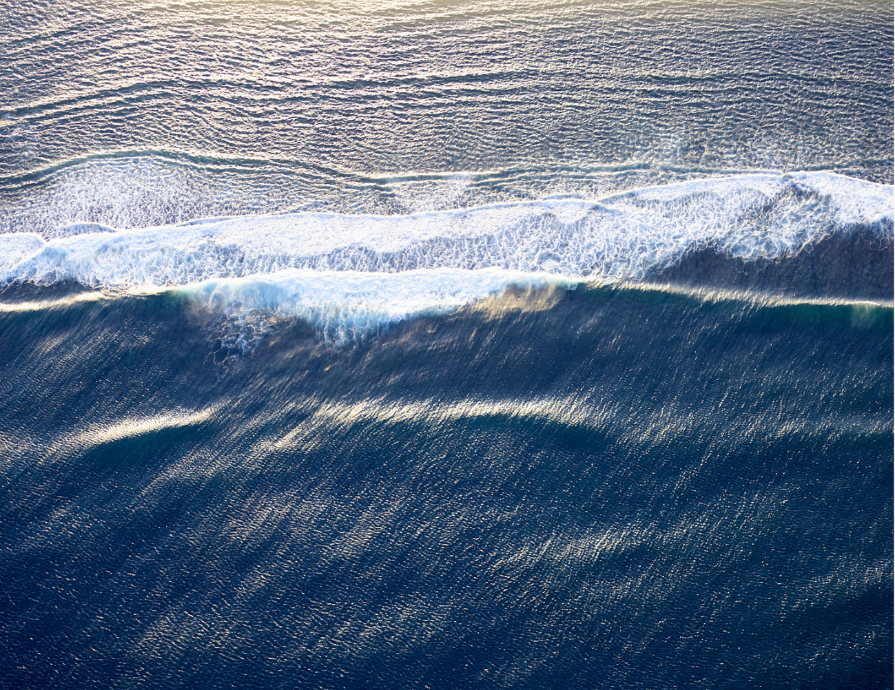 Tea Towel Great Southern Ocean 6610 Swing Tag - Final.png