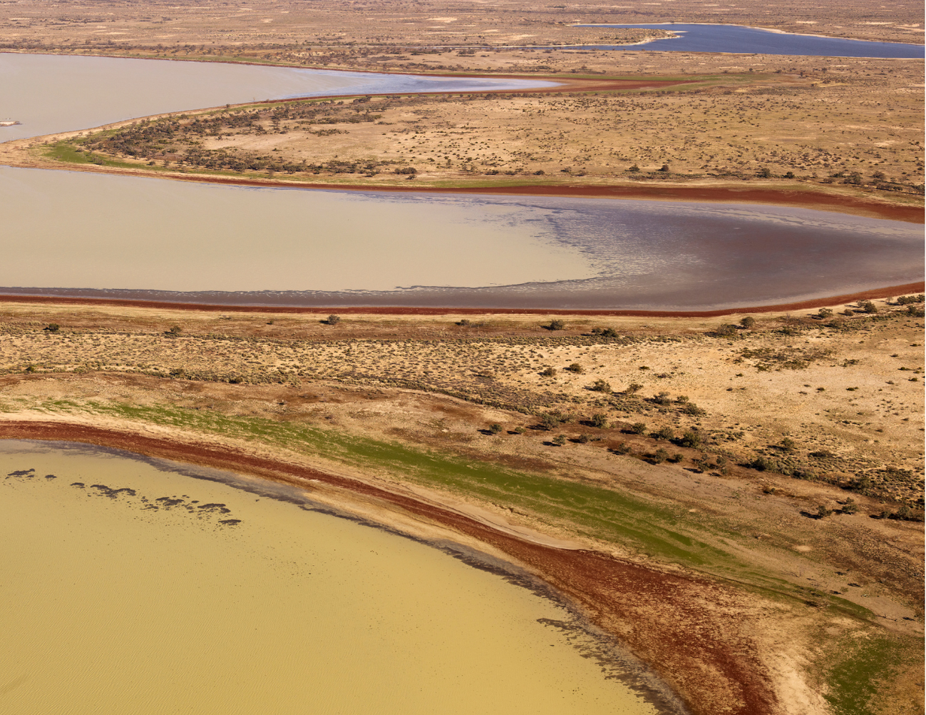 Tea Towel Lake Eyre 3801 Swing Tag - Final.png