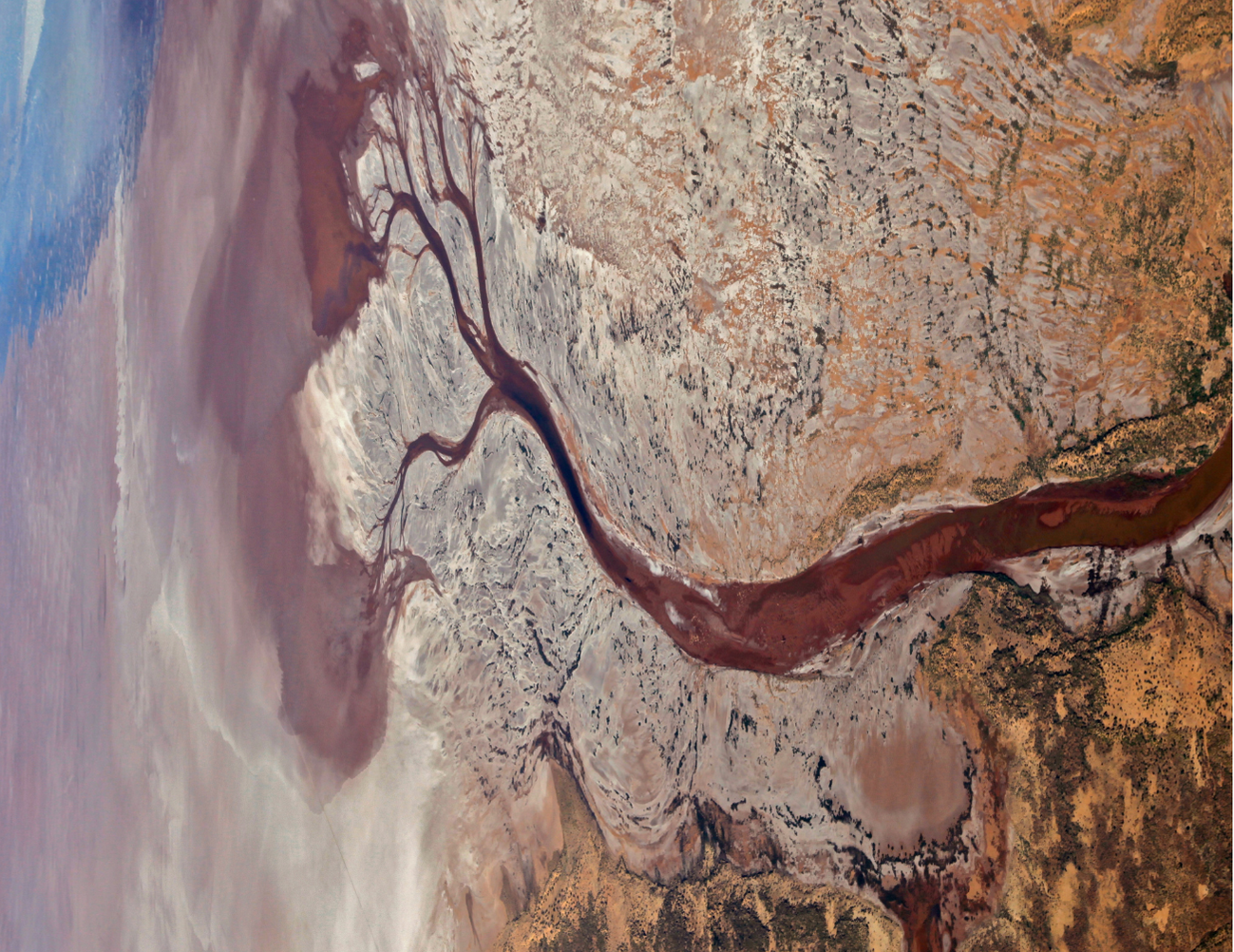 Tea Towel Lake Frome 6411 Swing Tag - Final.png