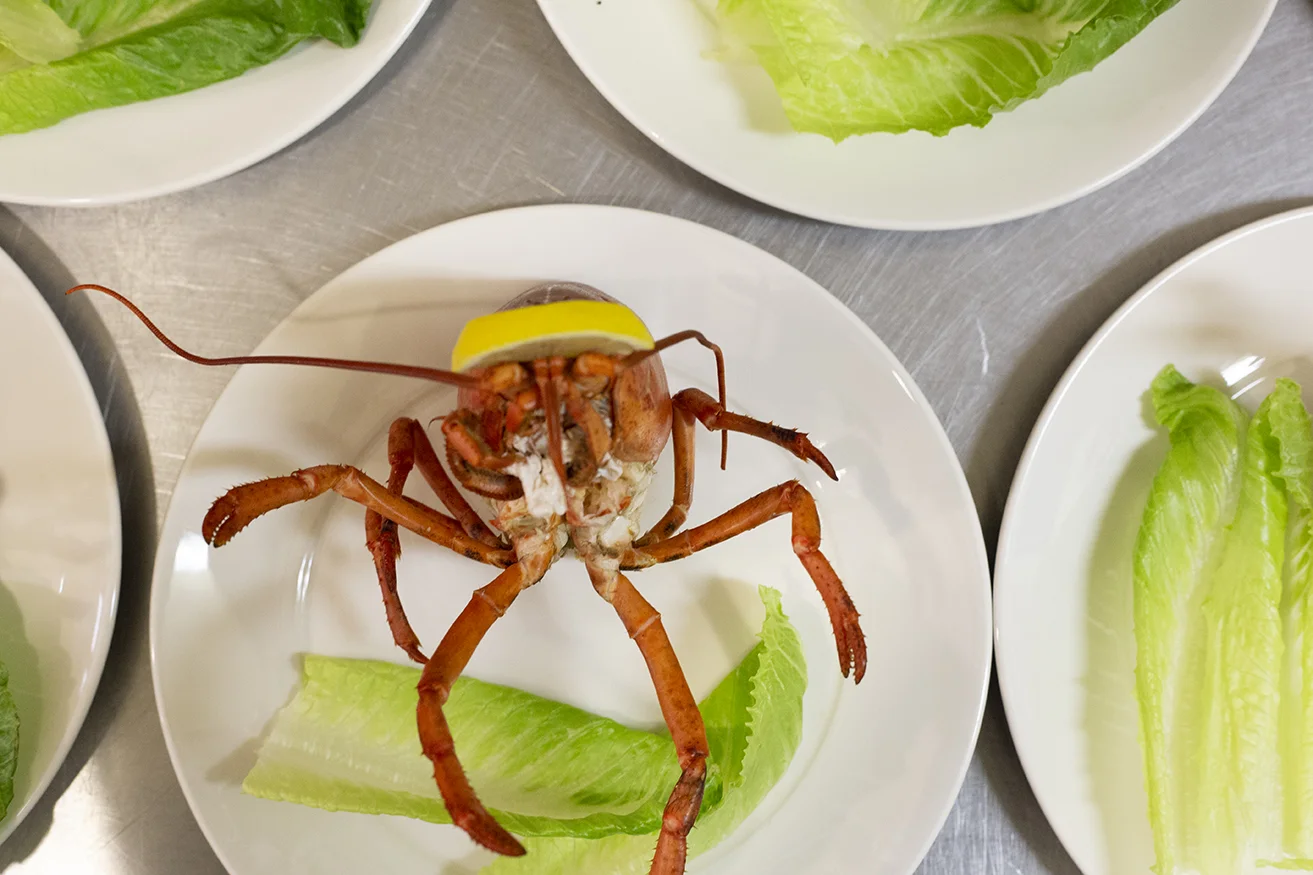 Lobster Dinner-8.jpg