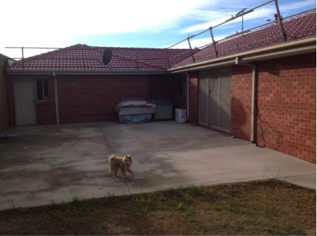 Flat Roof (Before)