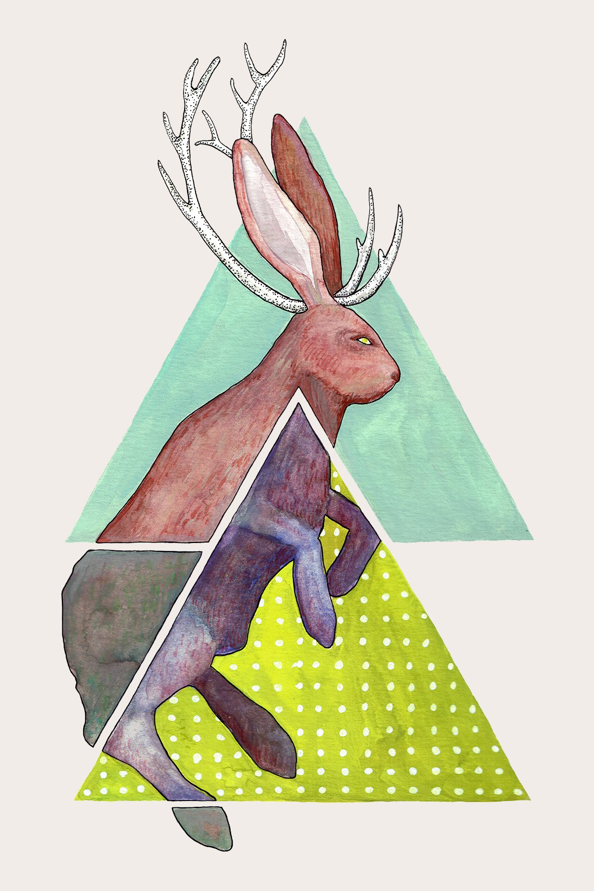 1-card-jackrabbit.jpg