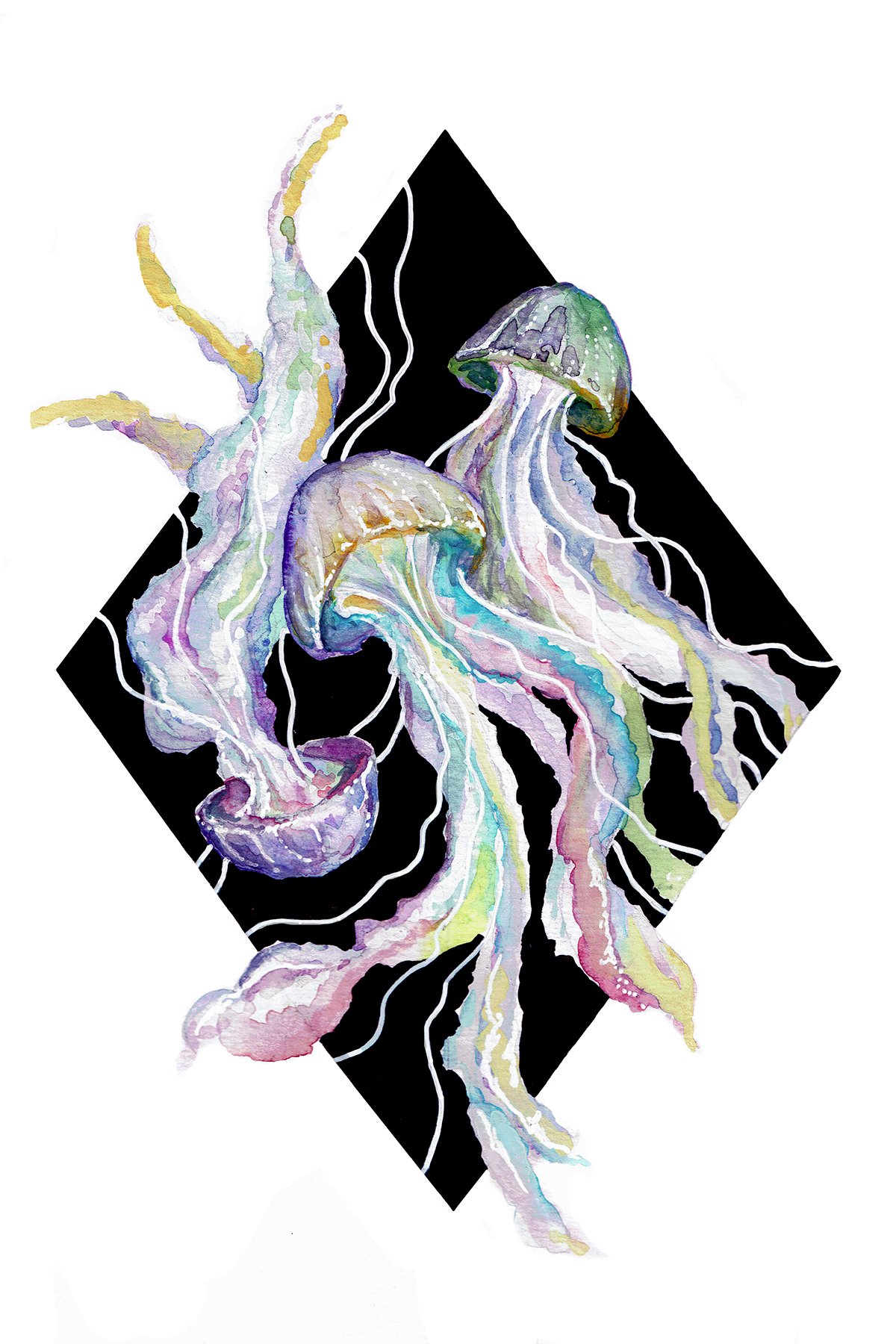1-card-jellyfish.jpg