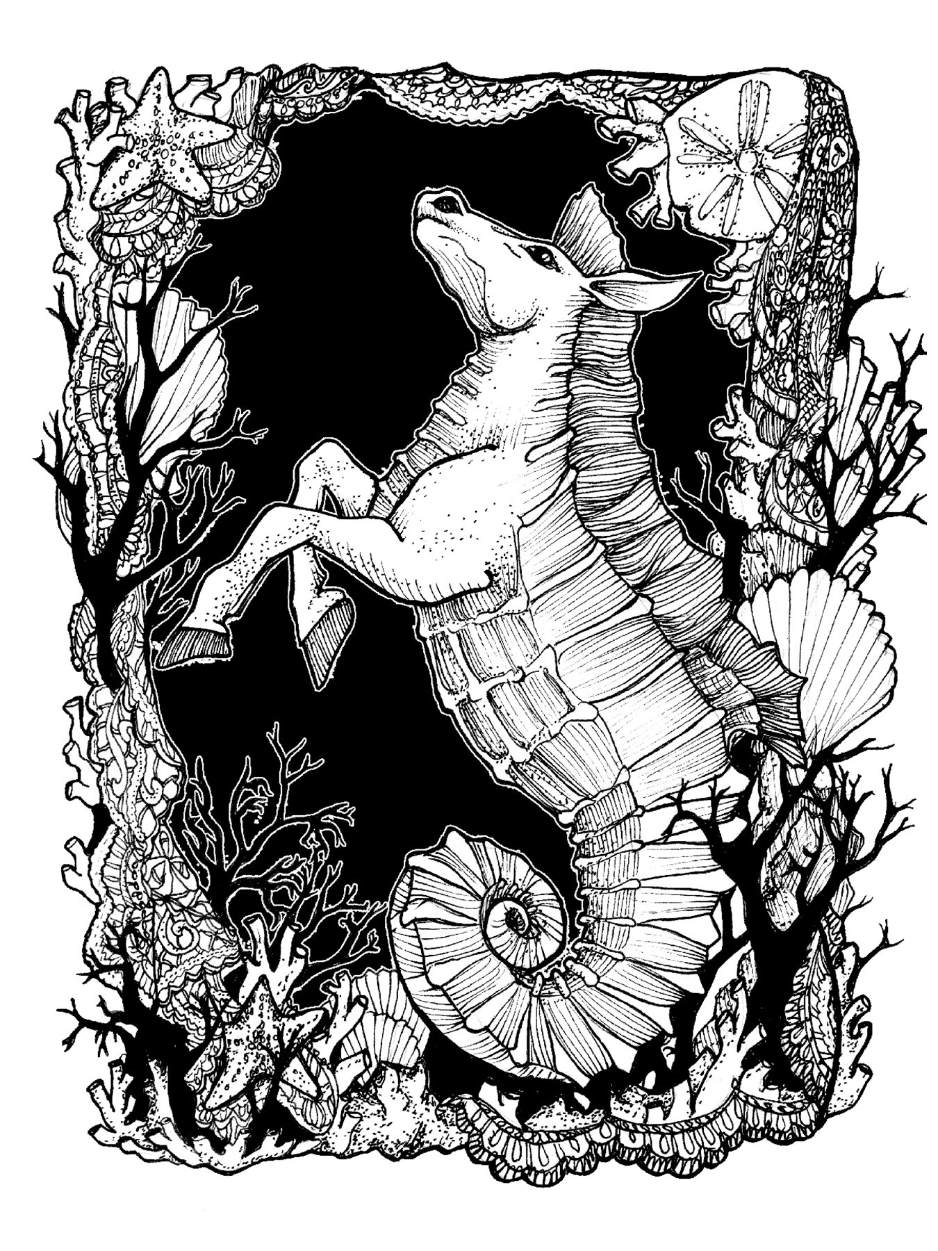 card-beast-seahorse.jpg