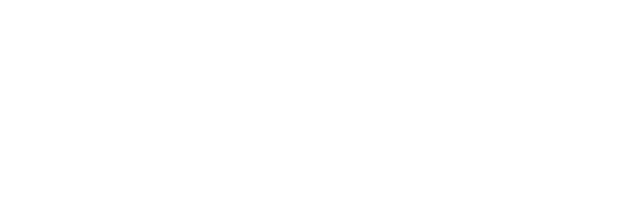 FF_Logo_Hero_Horiz_white.png