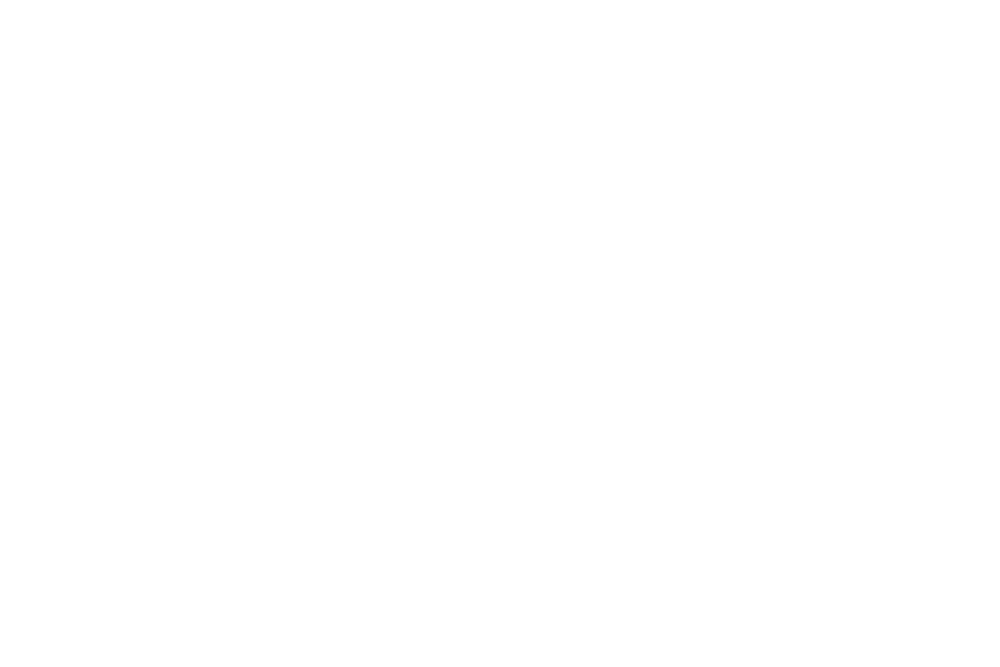 Alo_Big.png