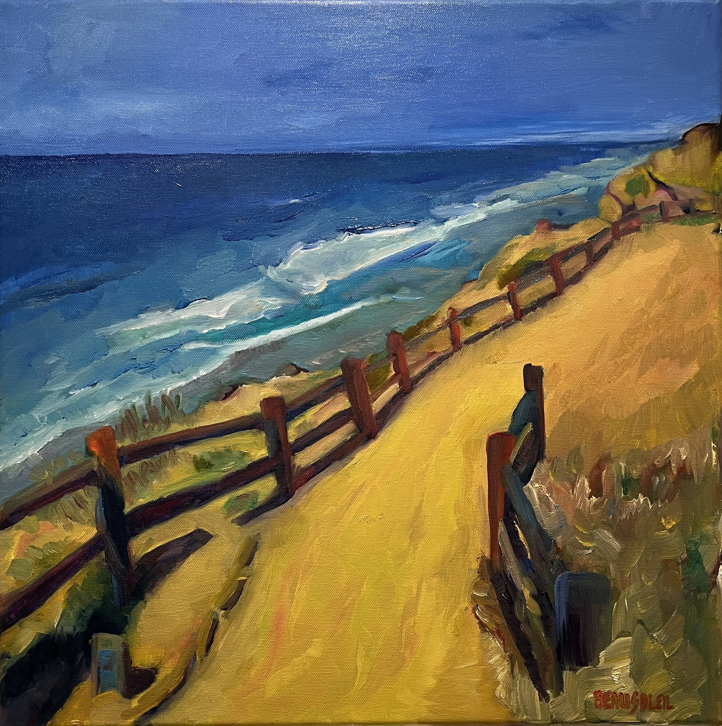 Torrey Pines Trail, 2026