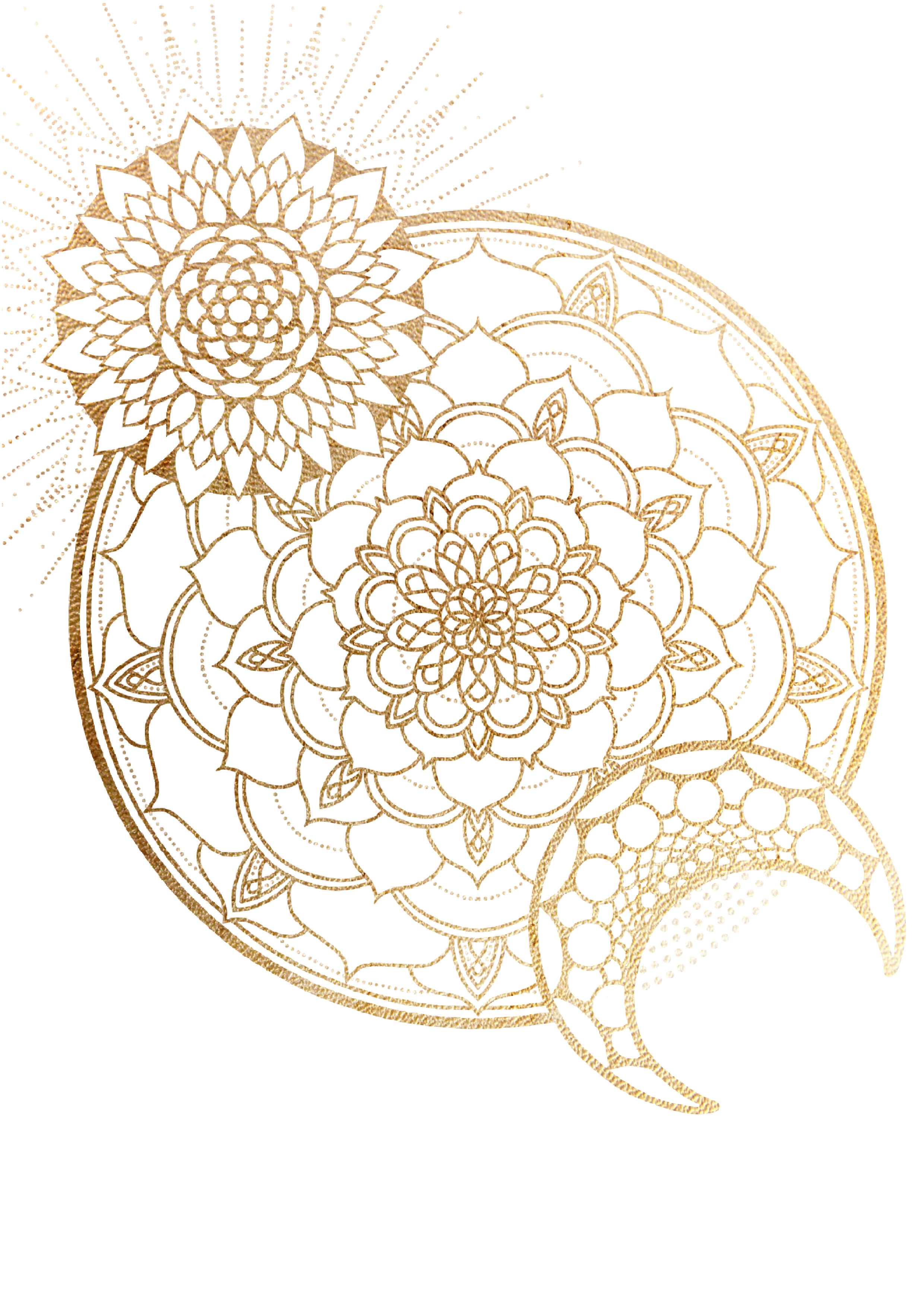 EAE87E19-5051-42E1-9BE0-82C9276854FA.png