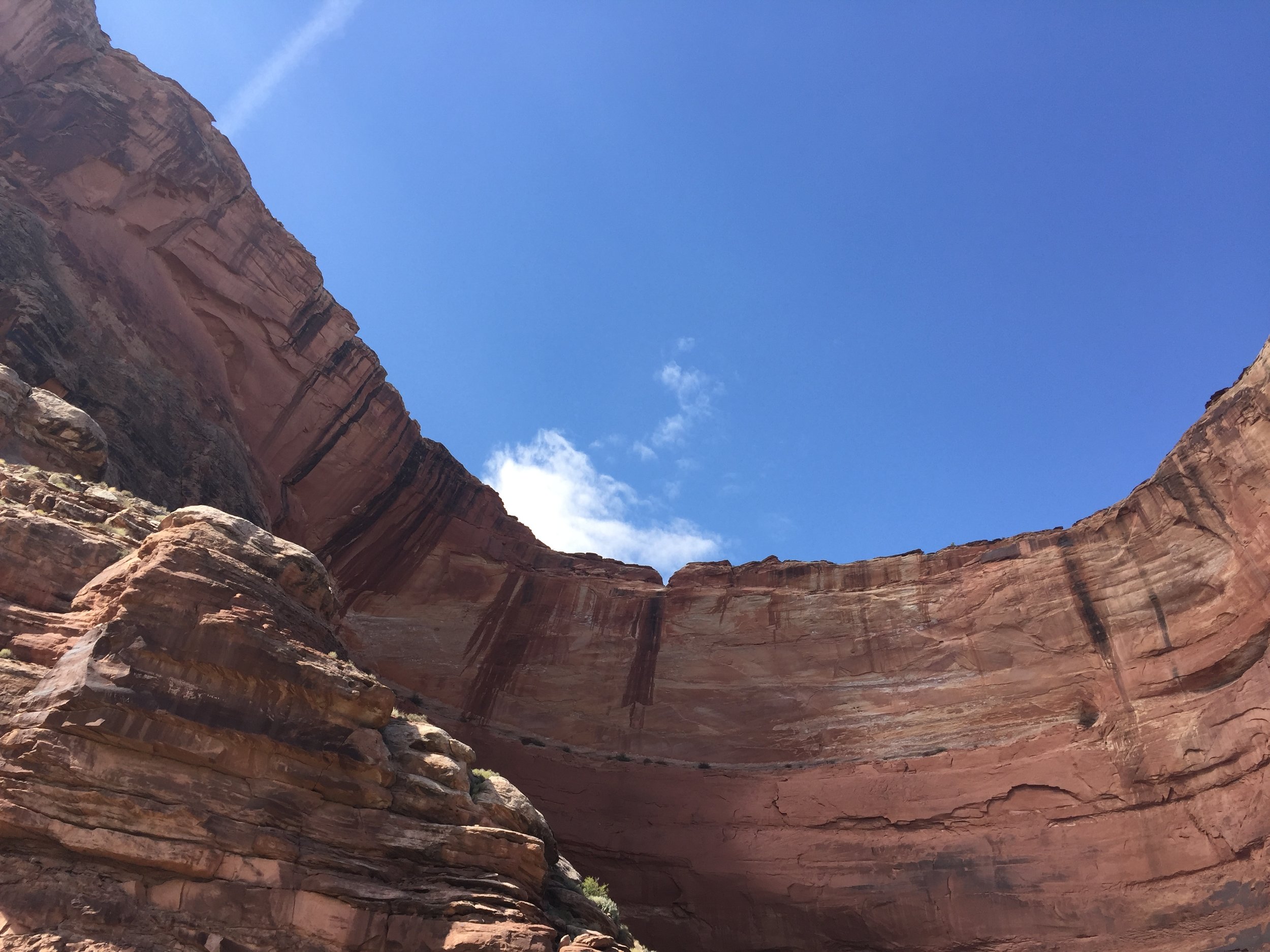 Previous Speaking Engagements