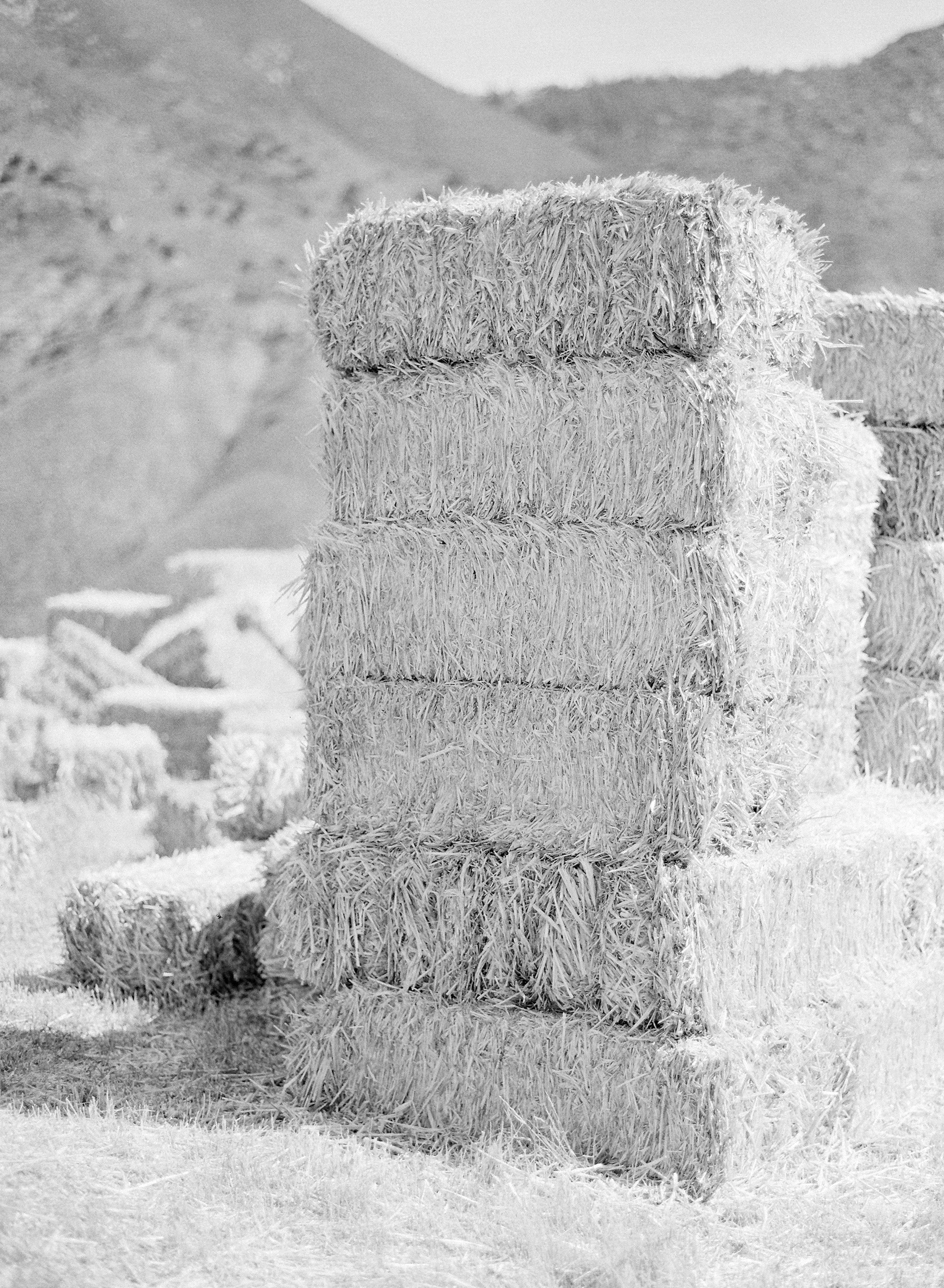 10a_elizabeth messina_0170_hay bales.jpg