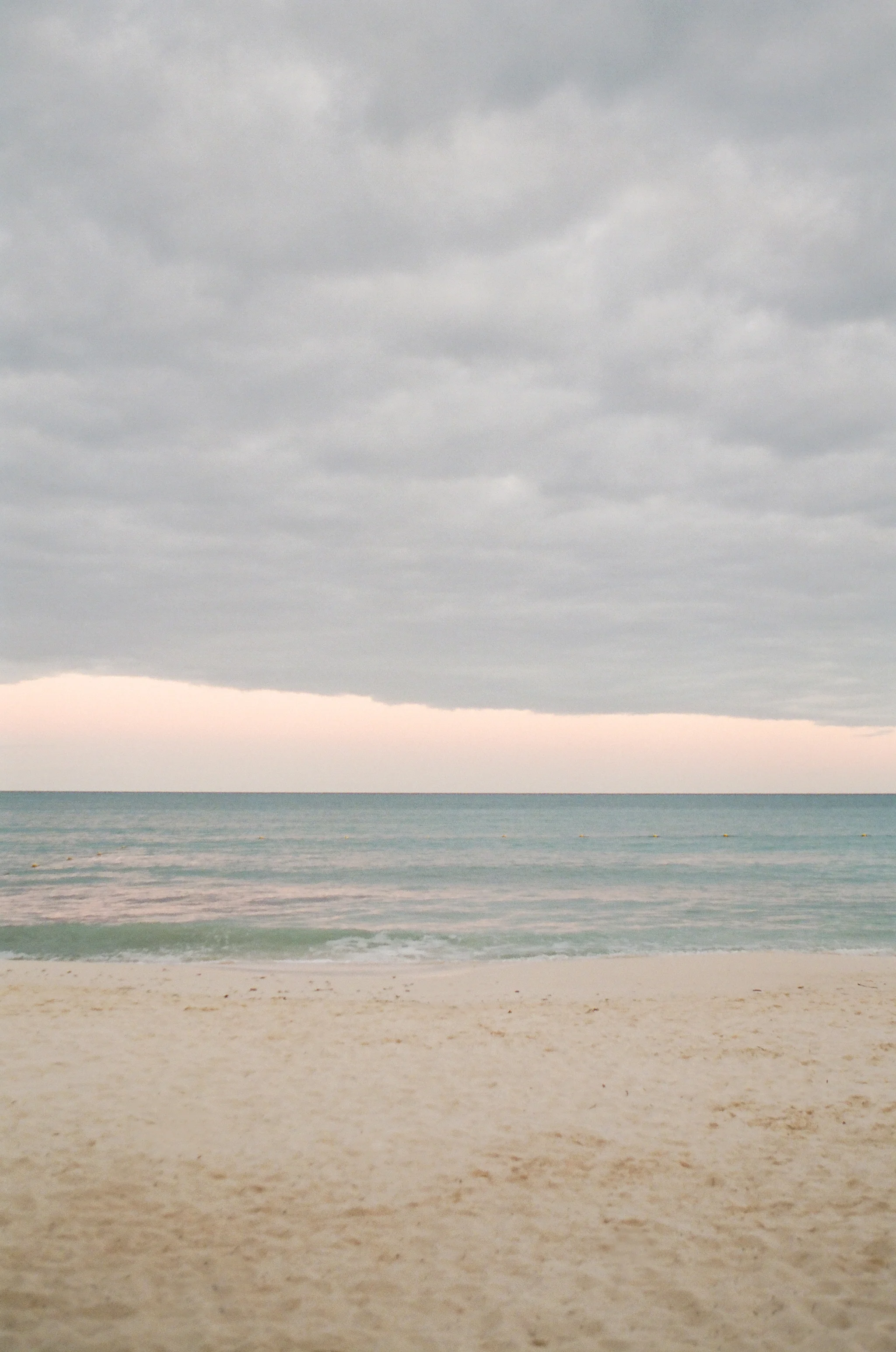 Copyright Aaron Delesie 1125.JPG