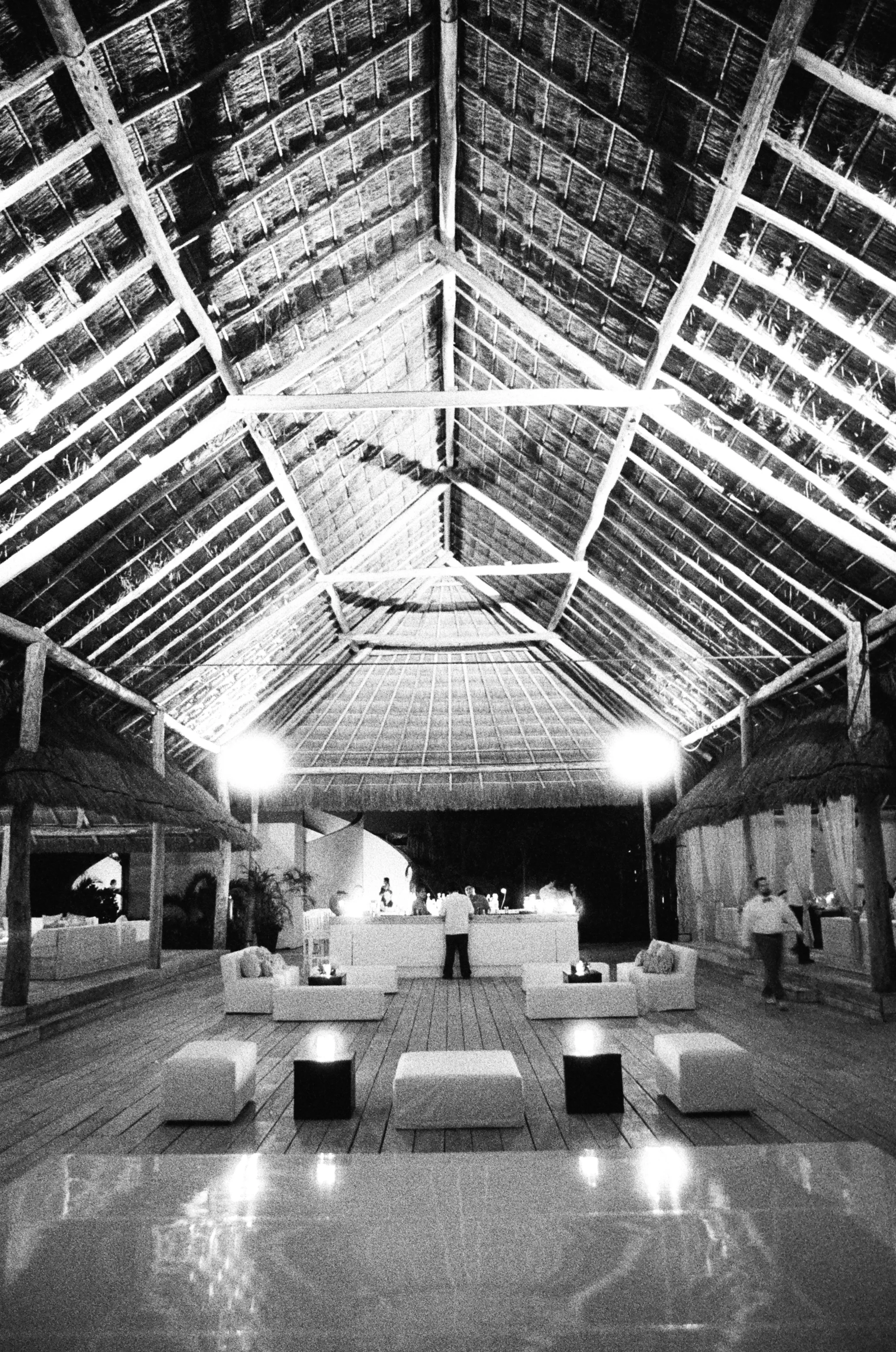 Copyright Aaron Delesie 1446.JPG