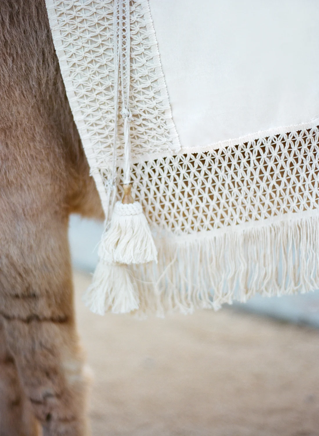 15cCopyright Aaron Delesie 0260 linens.JPG
