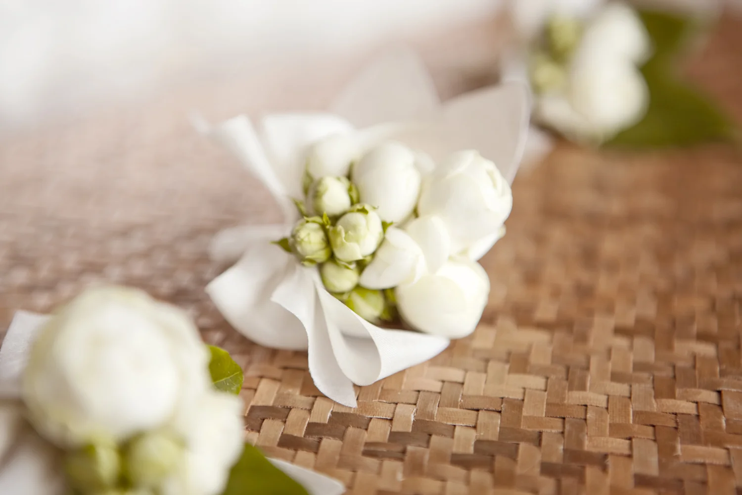 10bCopyright Aaron Delesie 0270 boutineers.JPG