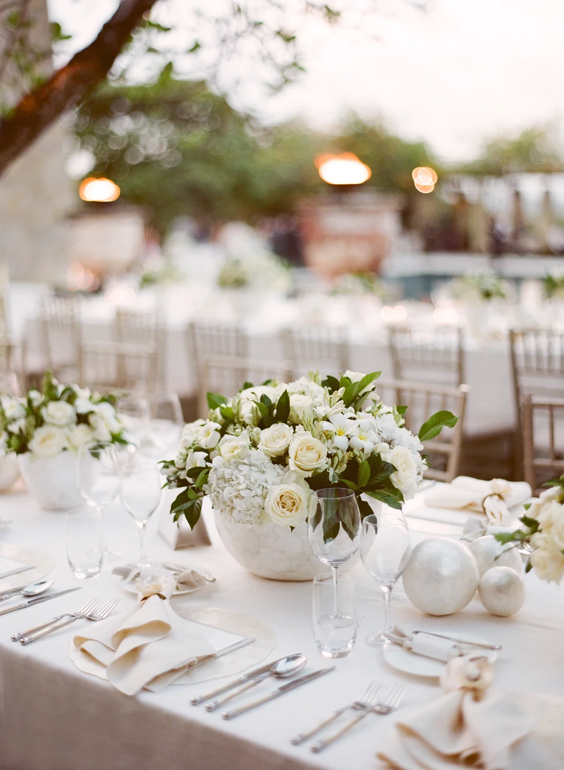 25aCopyright Aaron Delesie 0356 tablescape.JPG