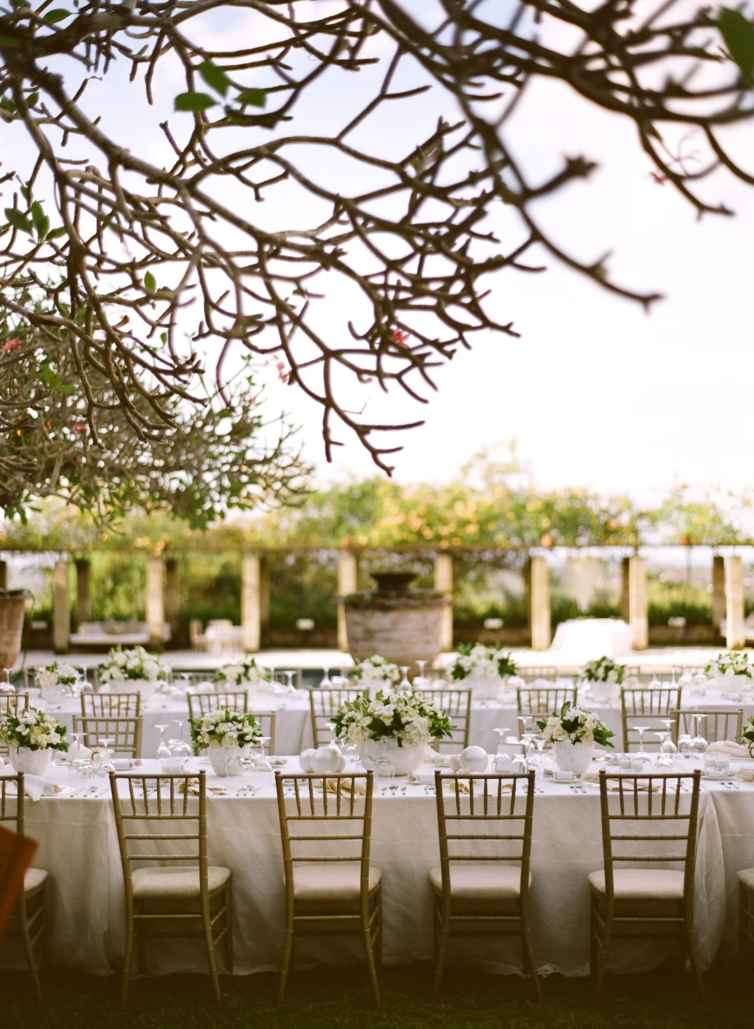 35Copyright Aaron Delesie 0338 tablescape.JPG