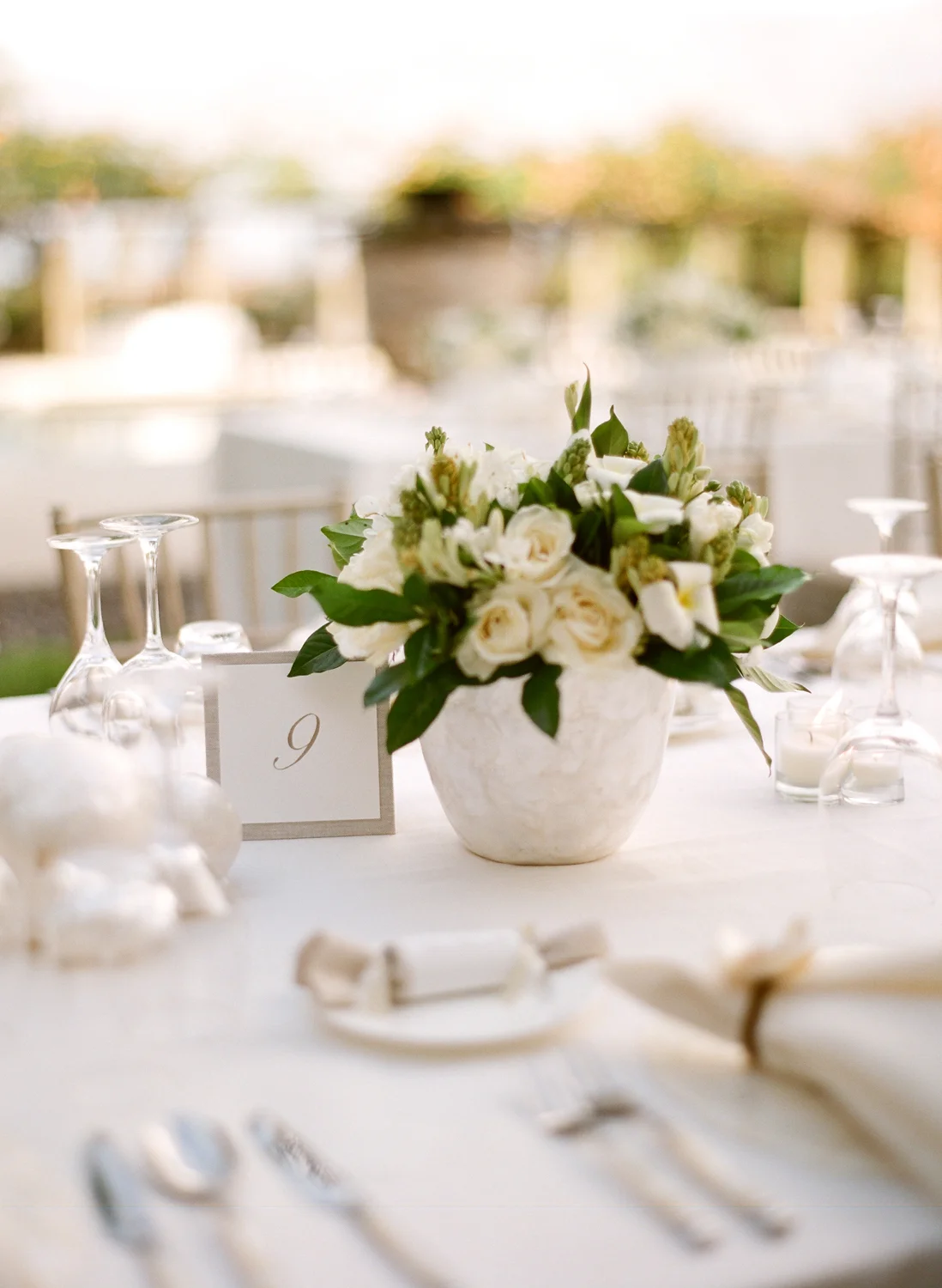 39bCopyright Aaron Delesie 0323 tablescape.JPG
