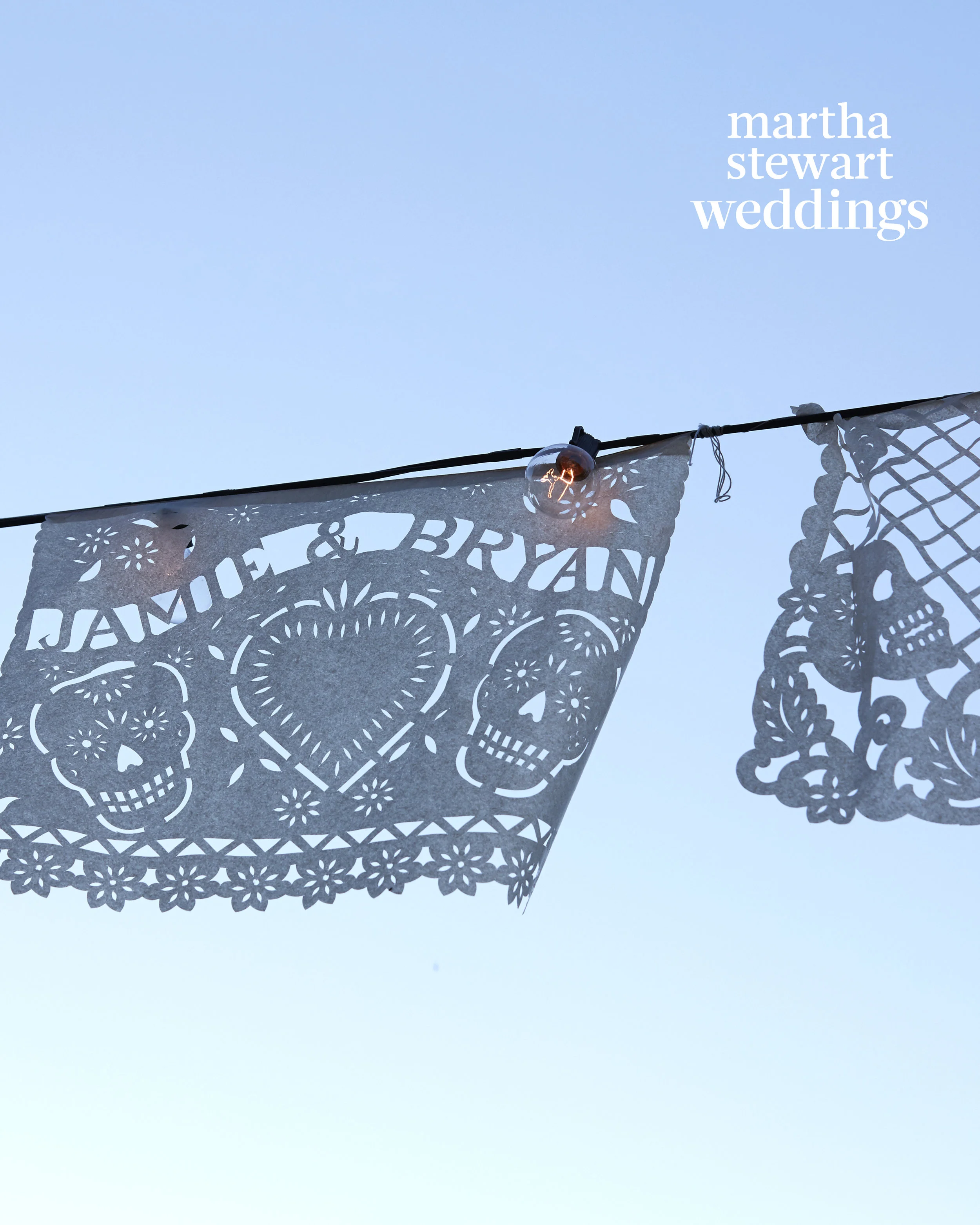 jamie-bryan-wedding-09-flags-0369-d112664.jpg