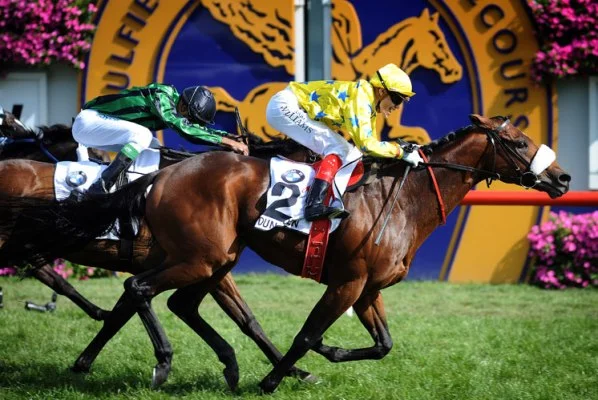 caulfield.jpg